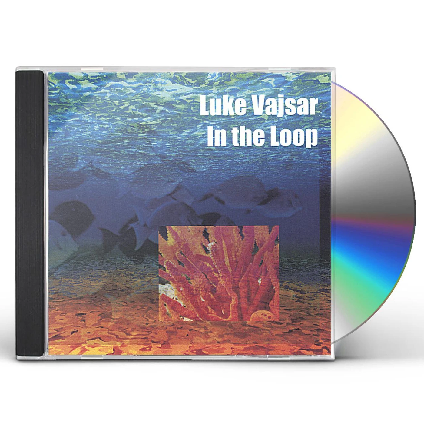 Luke Vajsar IN THE LOOP CD