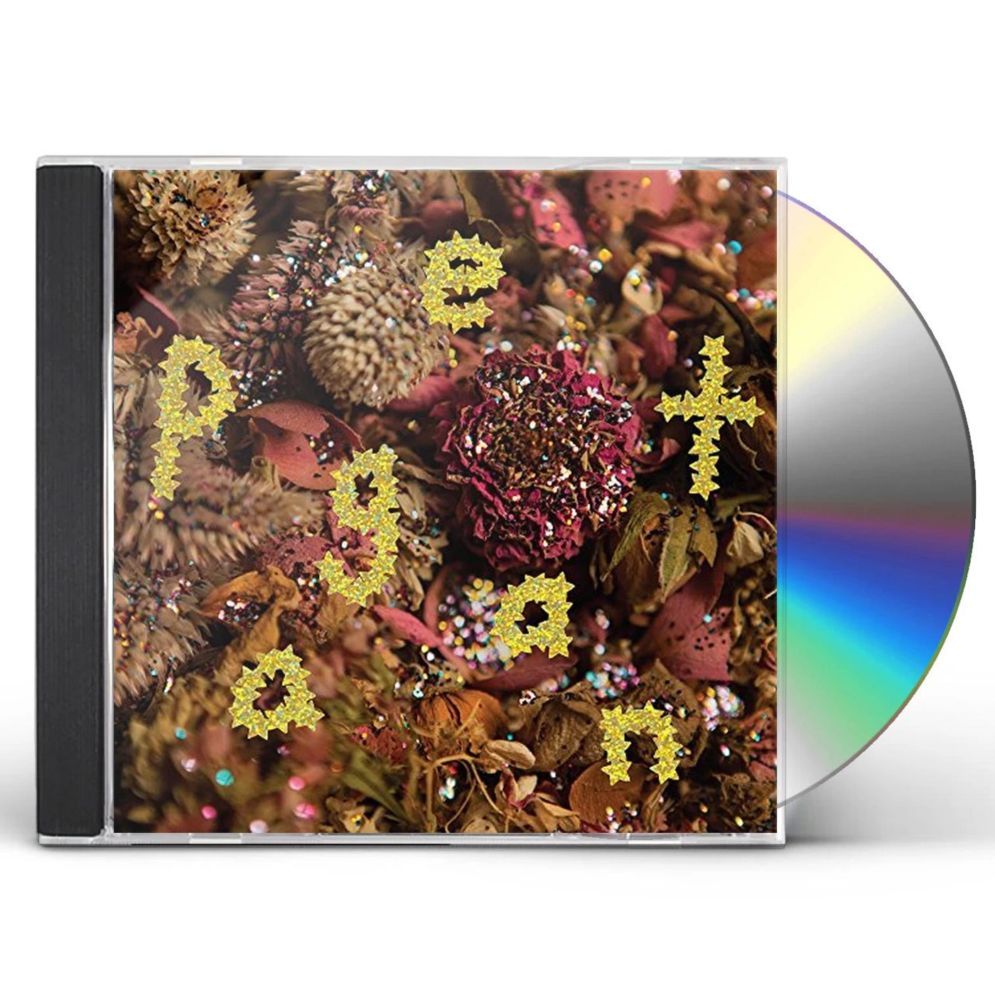 PWR BTTM PAGEANT CD