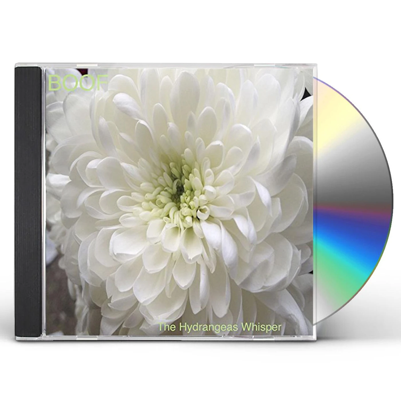 Boof HYDRANGEAS WHISPER CD