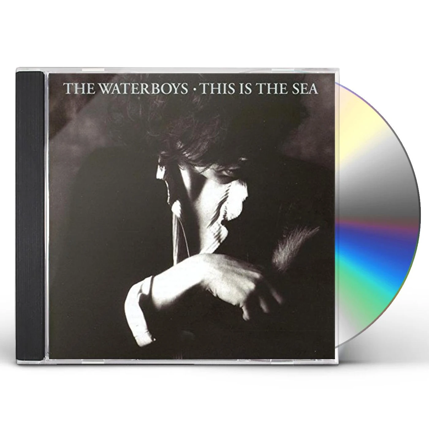 The Waterboys THIS IS THE SEA CD