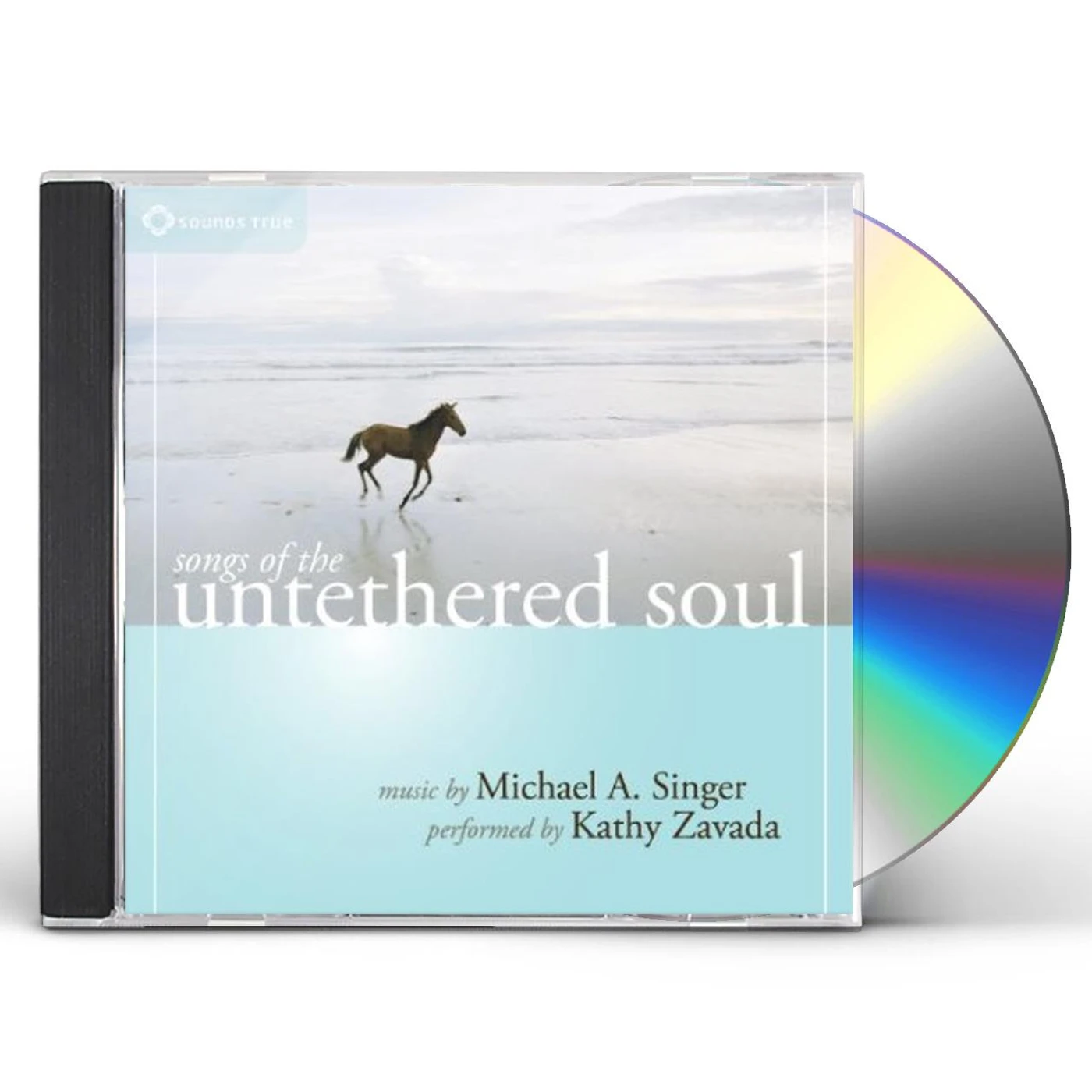 Michael A. Singer SONGS OF THE UNTETHERED SOUL CD