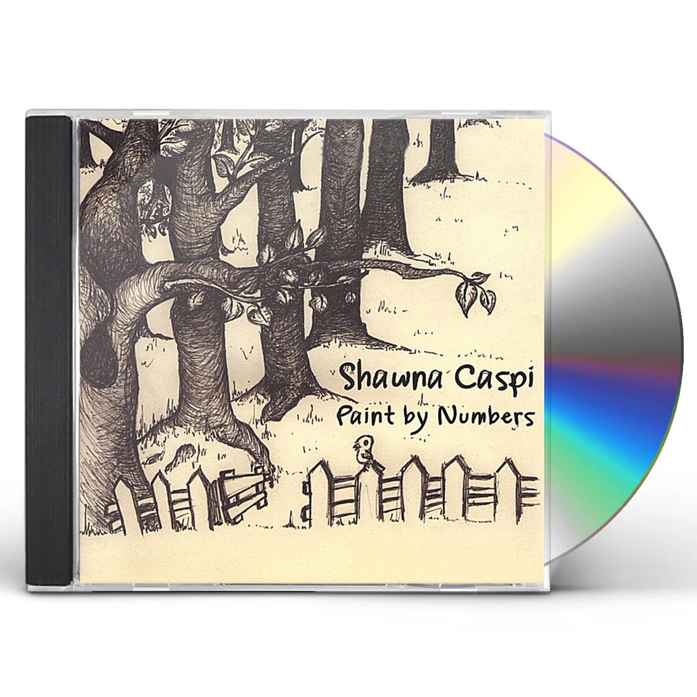Shawna Caspi PAINT BY NUMBERS CD