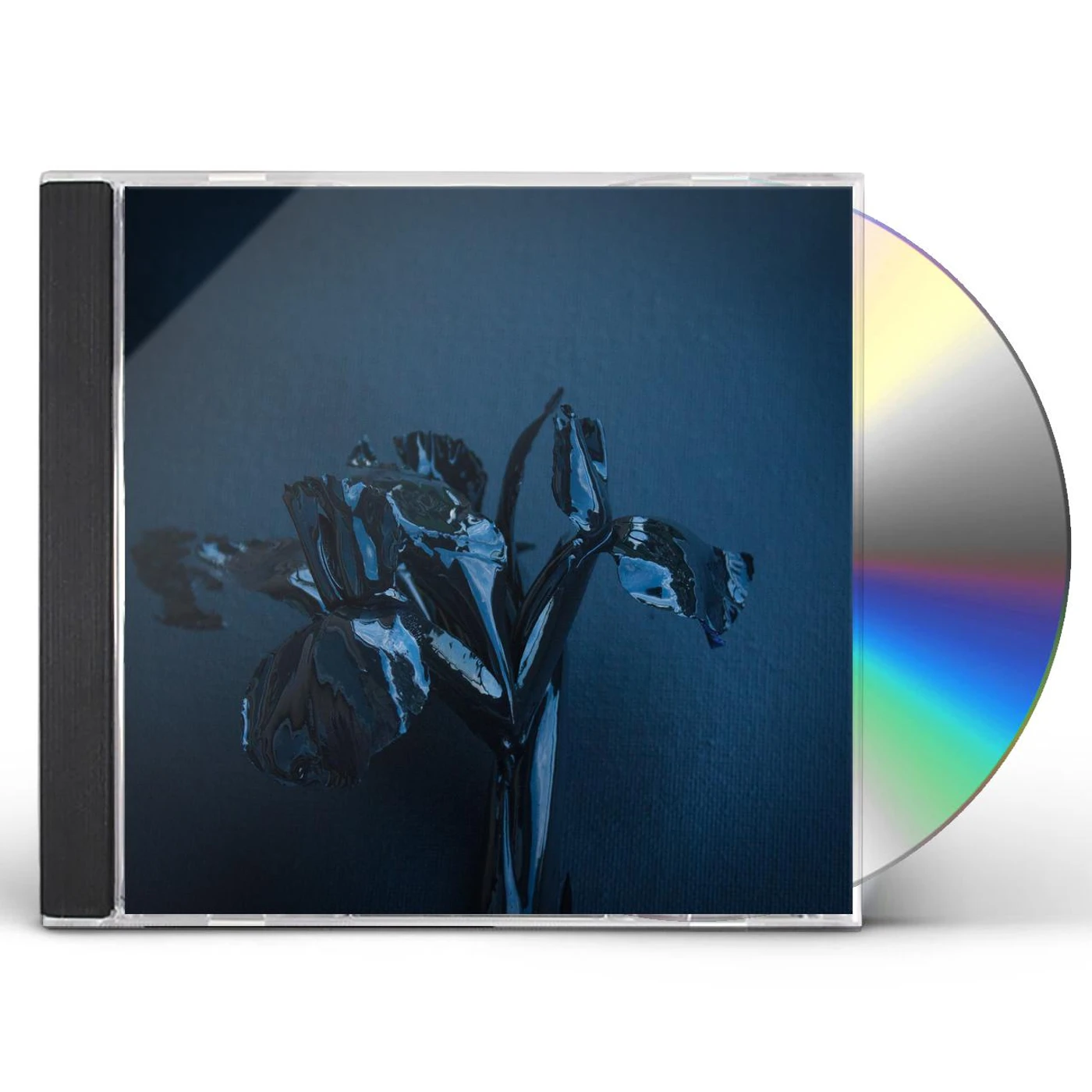 A Swarm Of The Sun RIFTS CD