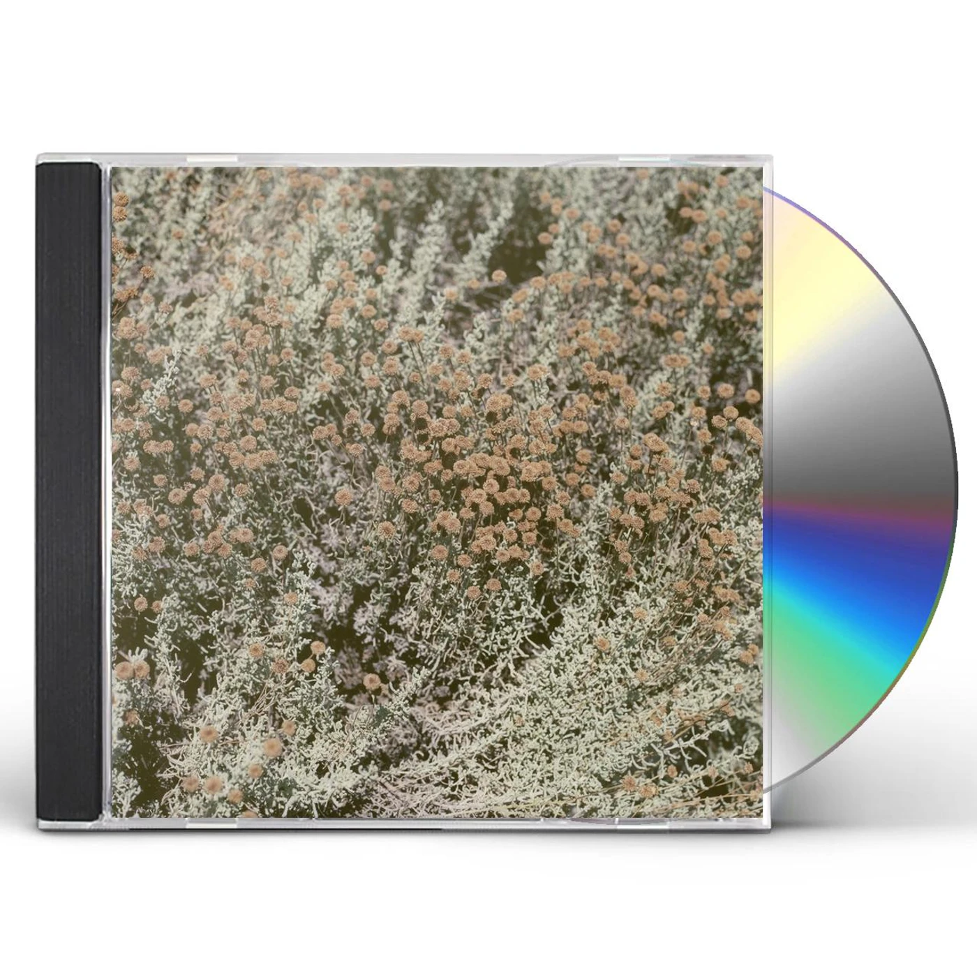 Loving IF I AM ONLY MY THOUGHTS CD