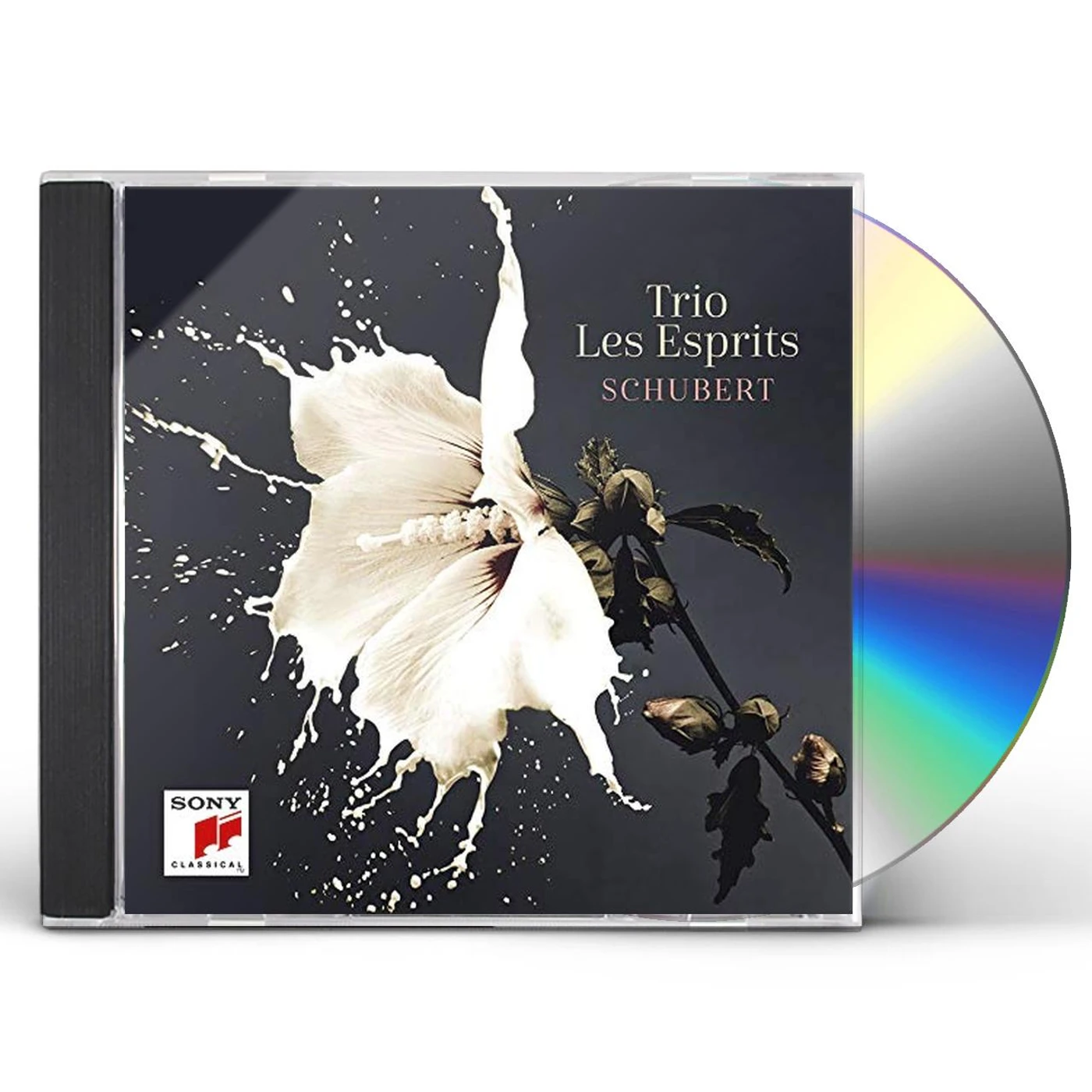 Trio Les Esprits SCHUBERT CD