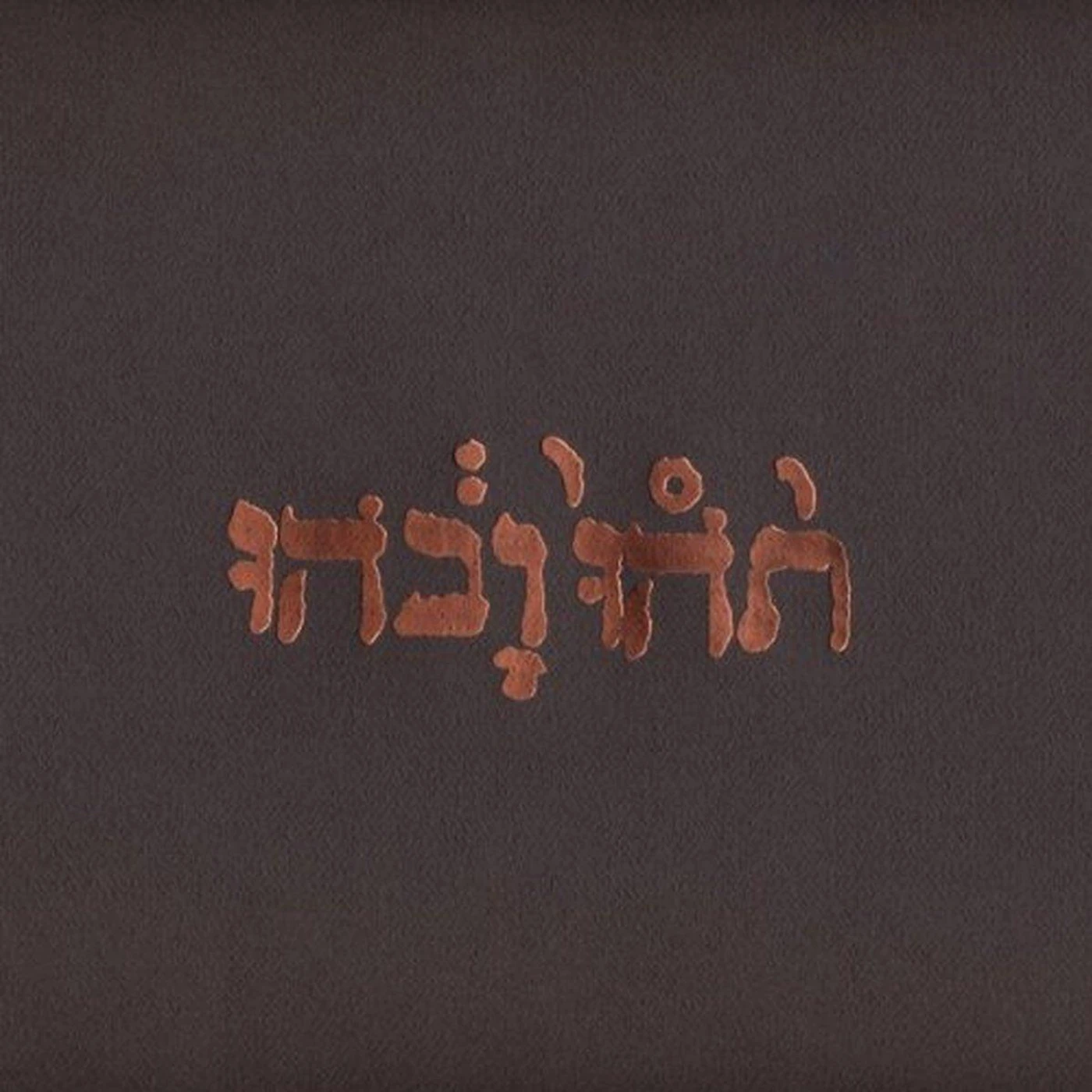 Godspeed You! Black Emperor Slow Riot for New Zero Kanada Vinyl Record