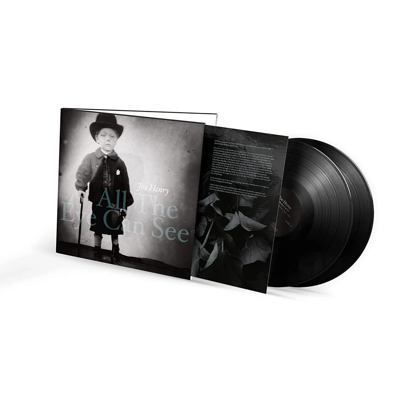 Joe Henry All The Eye Can See (2LP) Vinyl Record