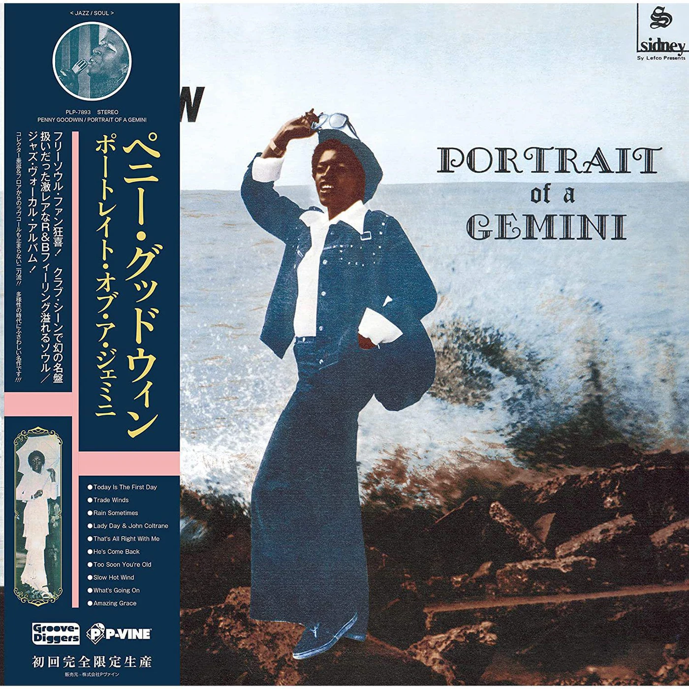 Penny Goodwin Portrait Of A Gemini Vinyl Record