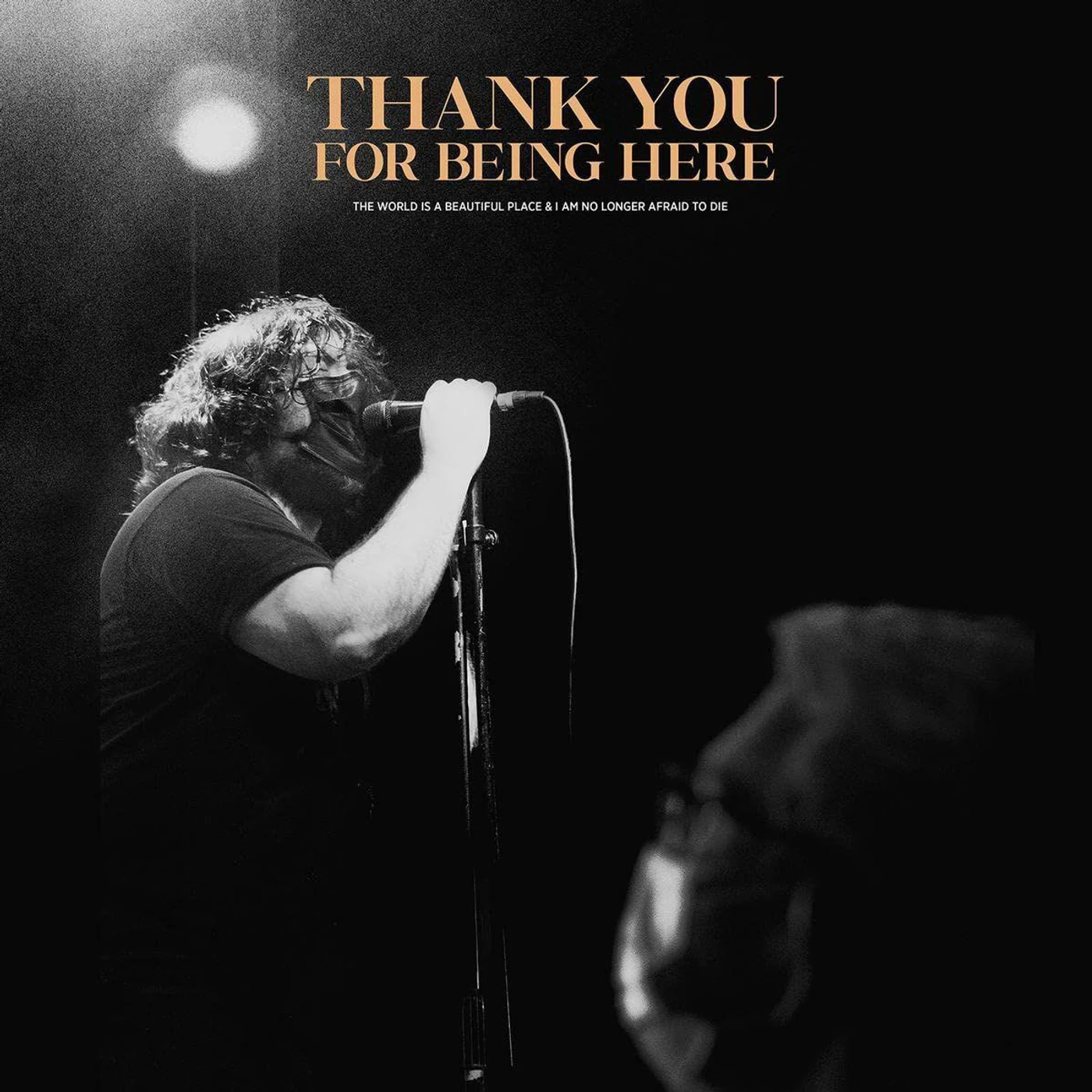 The World Is A Beautiful Place & I Am No Longer Afraid To Die Thank You For Being Here (Live) Vinyl Record