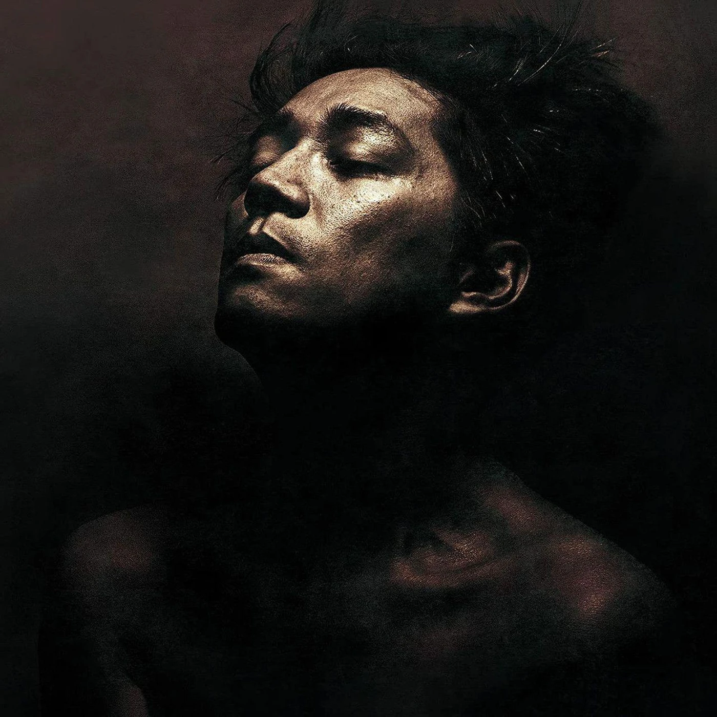 Ryuichi Sakamoto Beauty (2LP) Vinyl Record