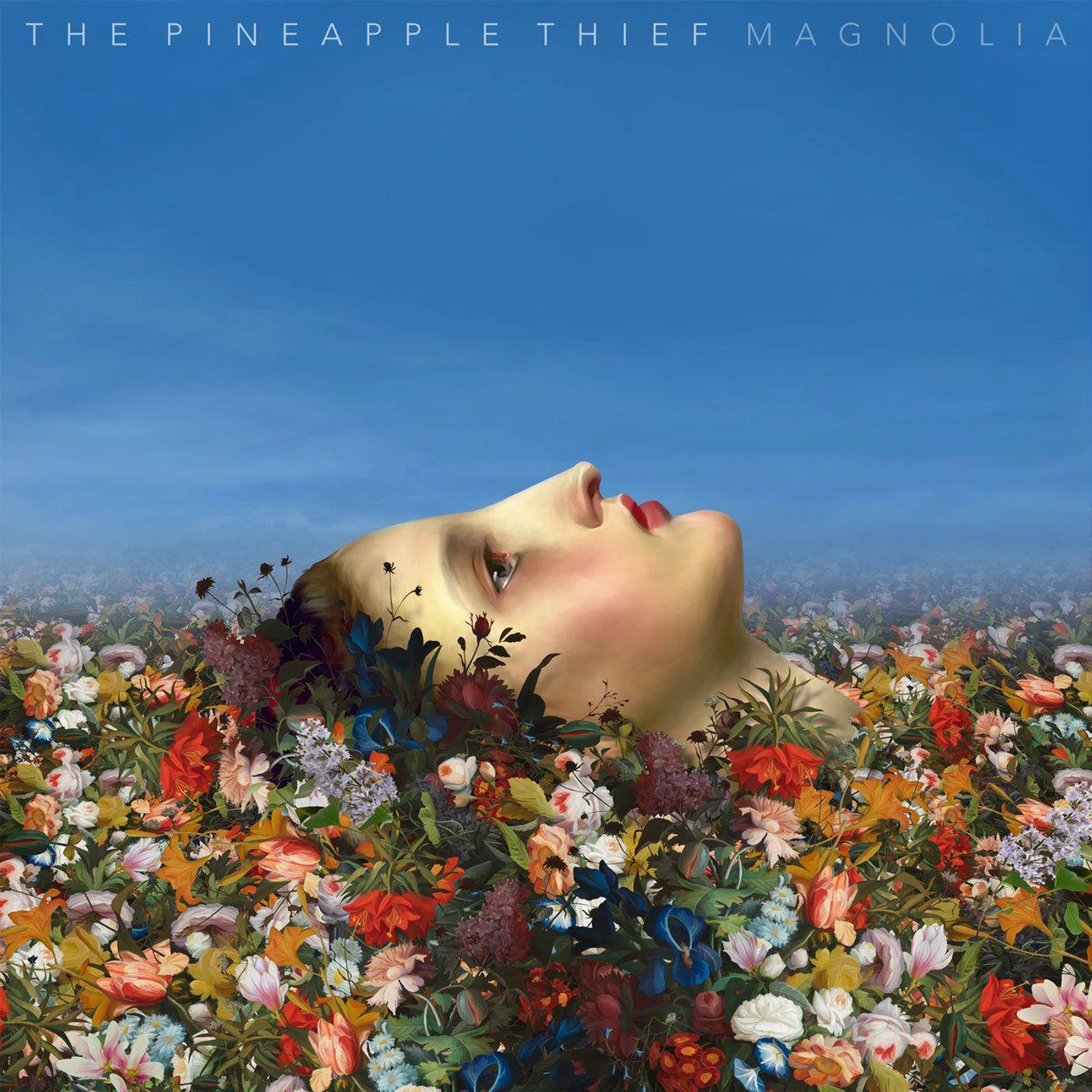 The Pineapple Thief Magnolia Vinyl Record