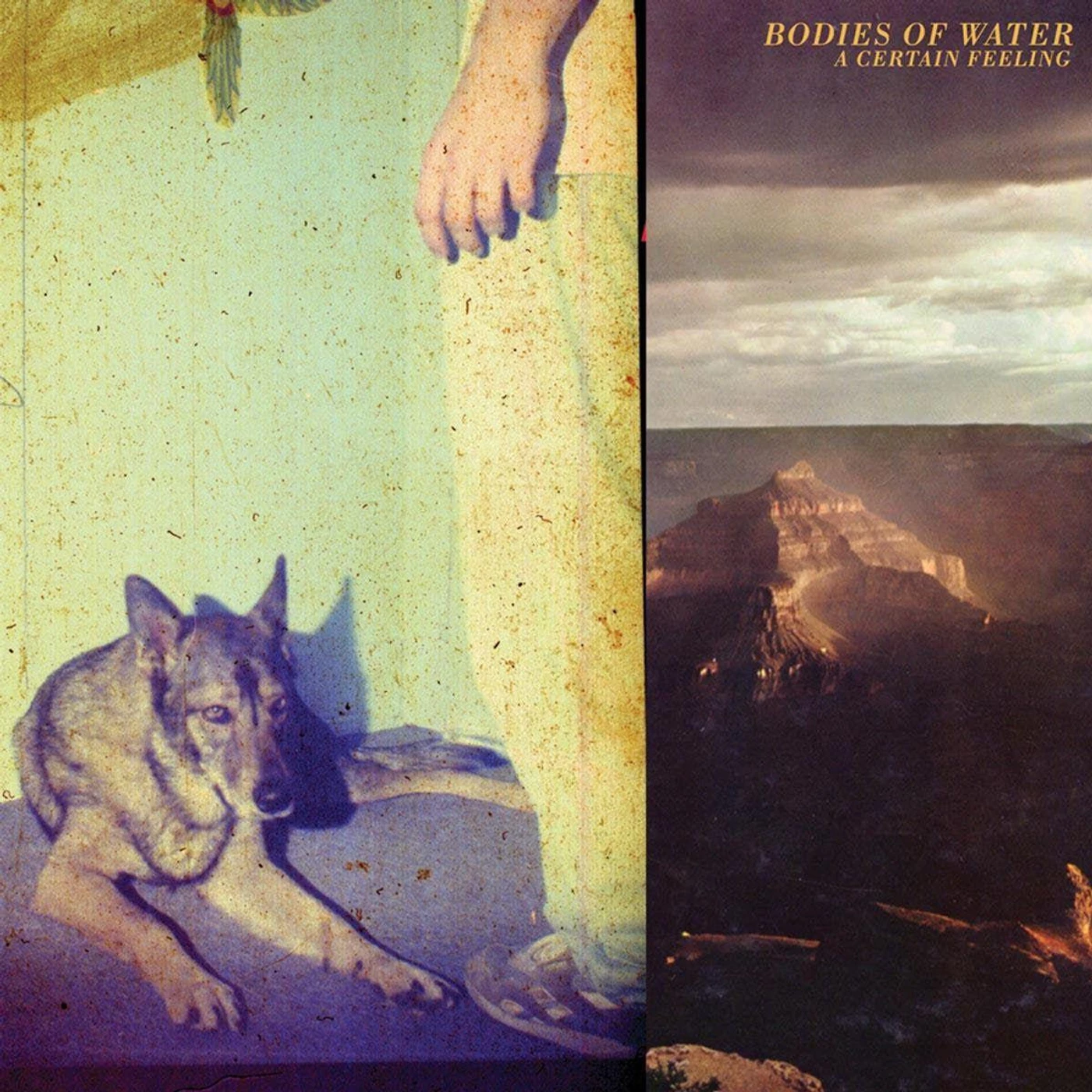Bodies Of Water CERTAIN FEELING Vinyl Record