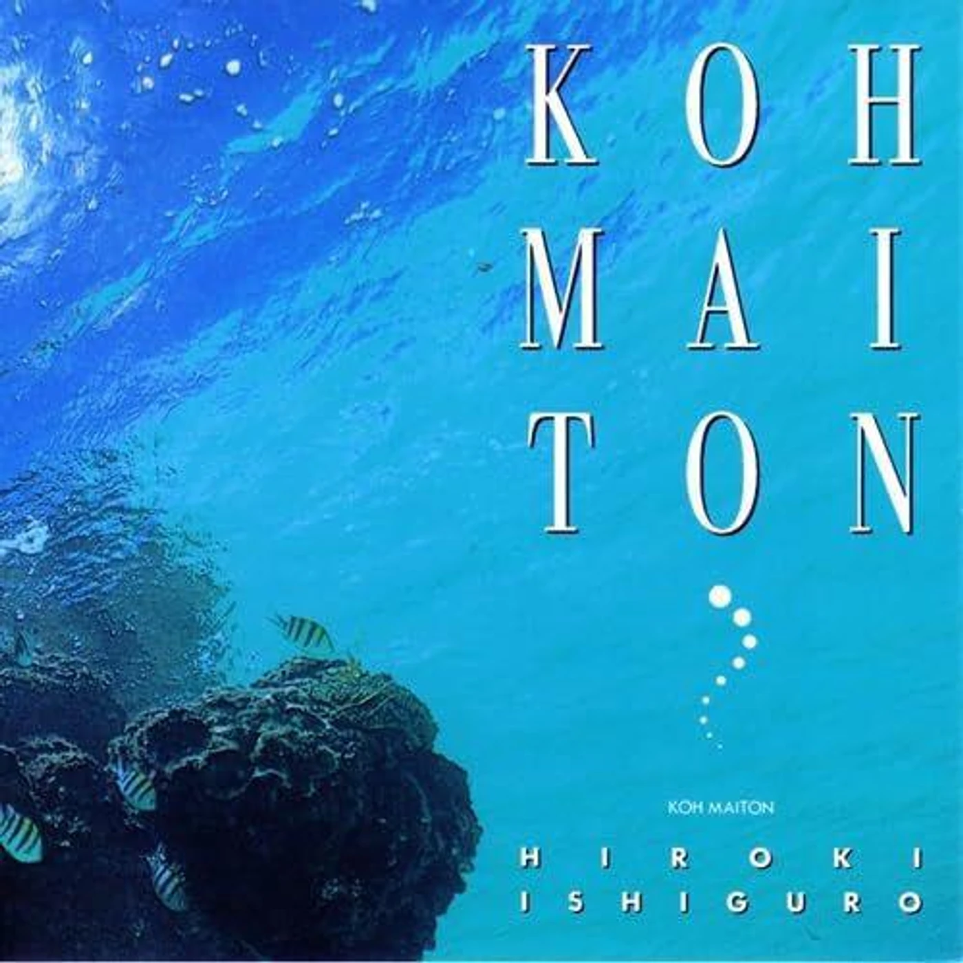 Hiroki Ishiguro Koh Maiton Vinyl Record