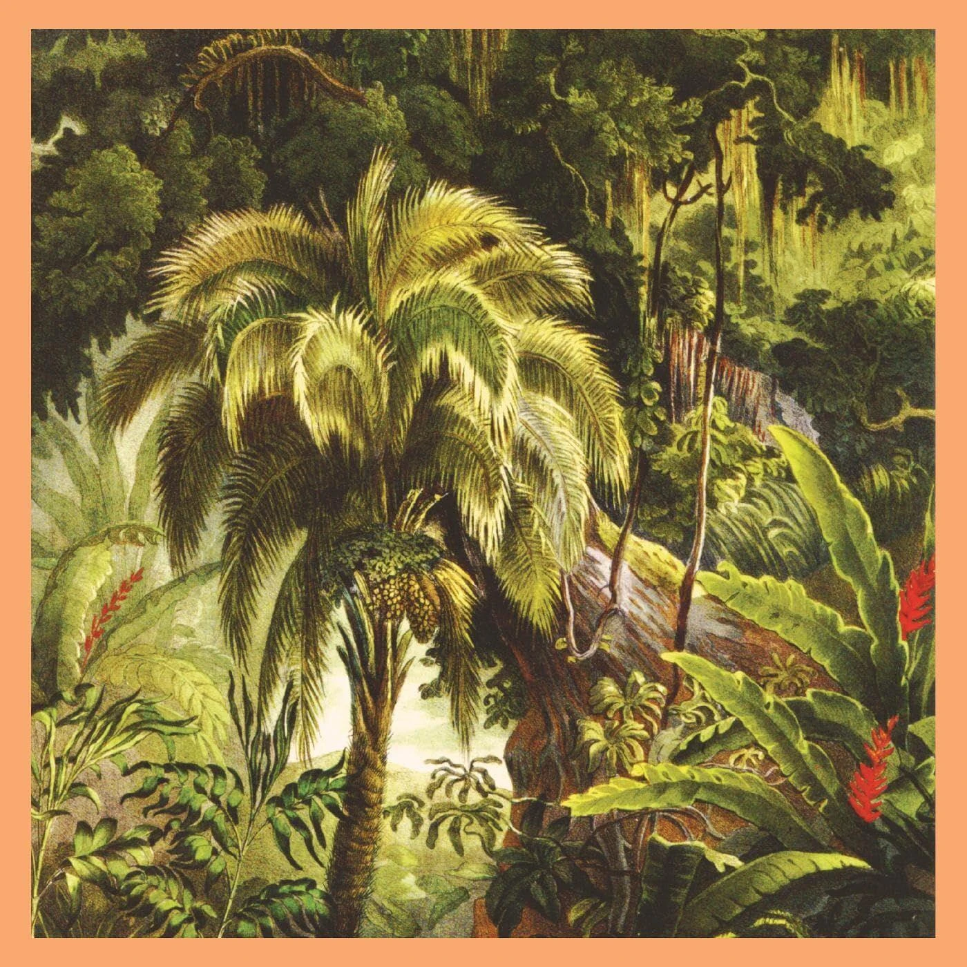 Xiu Xiu La Foret (Sunset Swirl) Vinyl Record