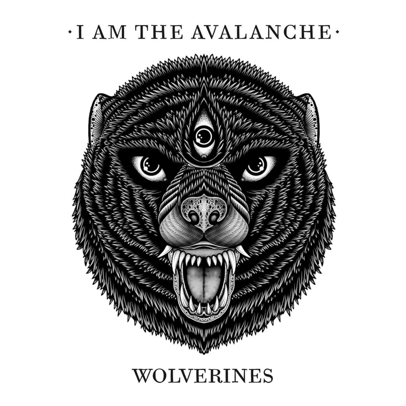 I Am The Avalanche WOLVERINES Vinyl Record