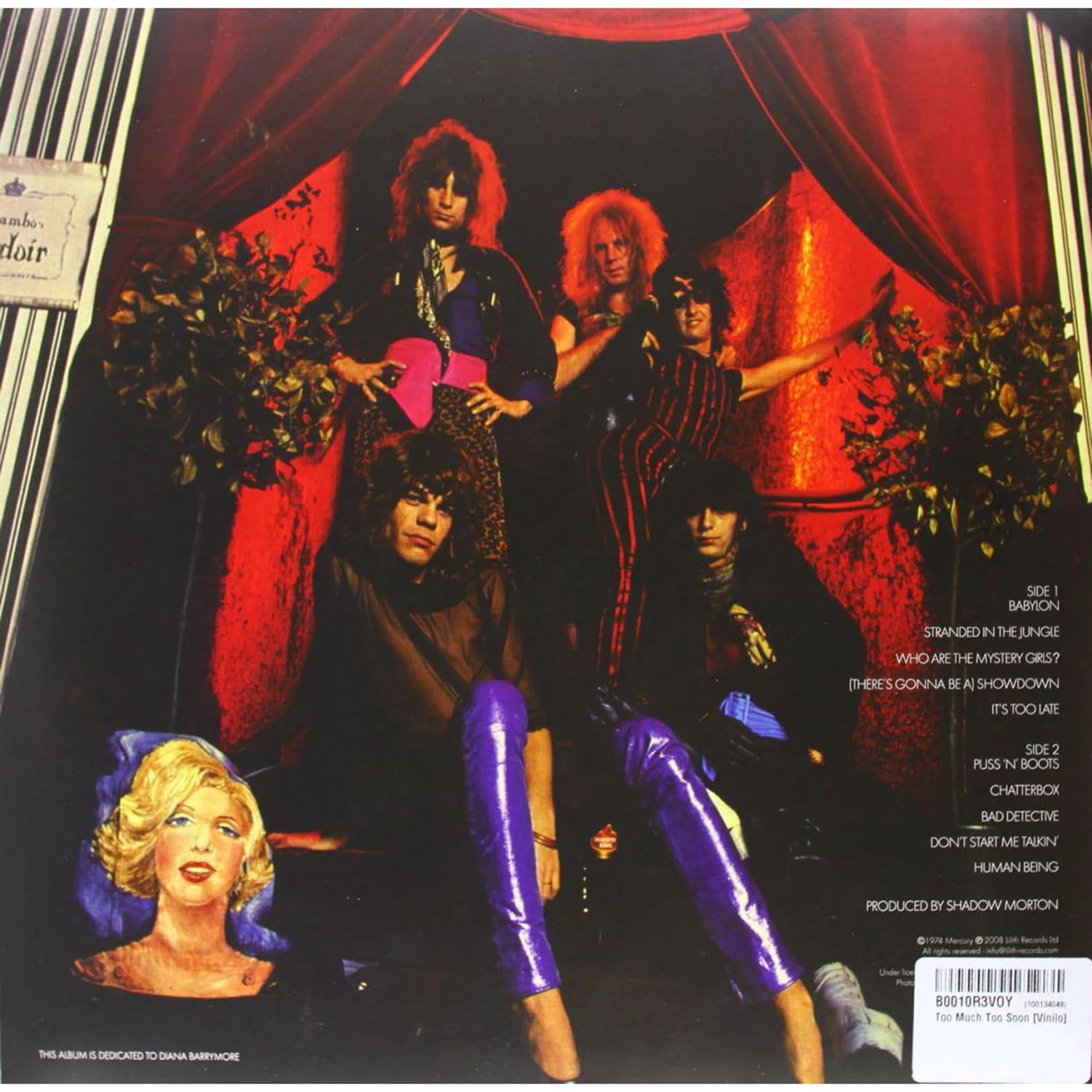 New York Dolls TOO MUCH TOO SOON Vinyl Record