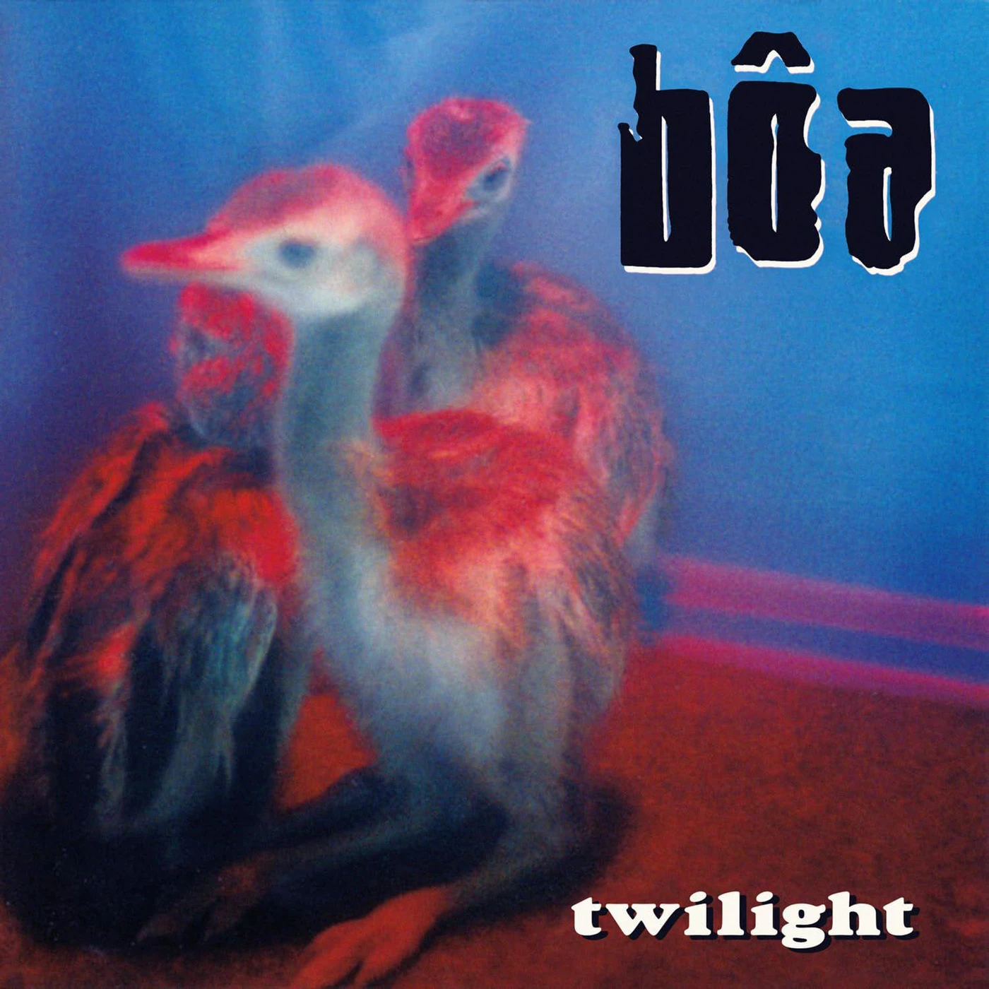 BoA Twilight Vinyl Record