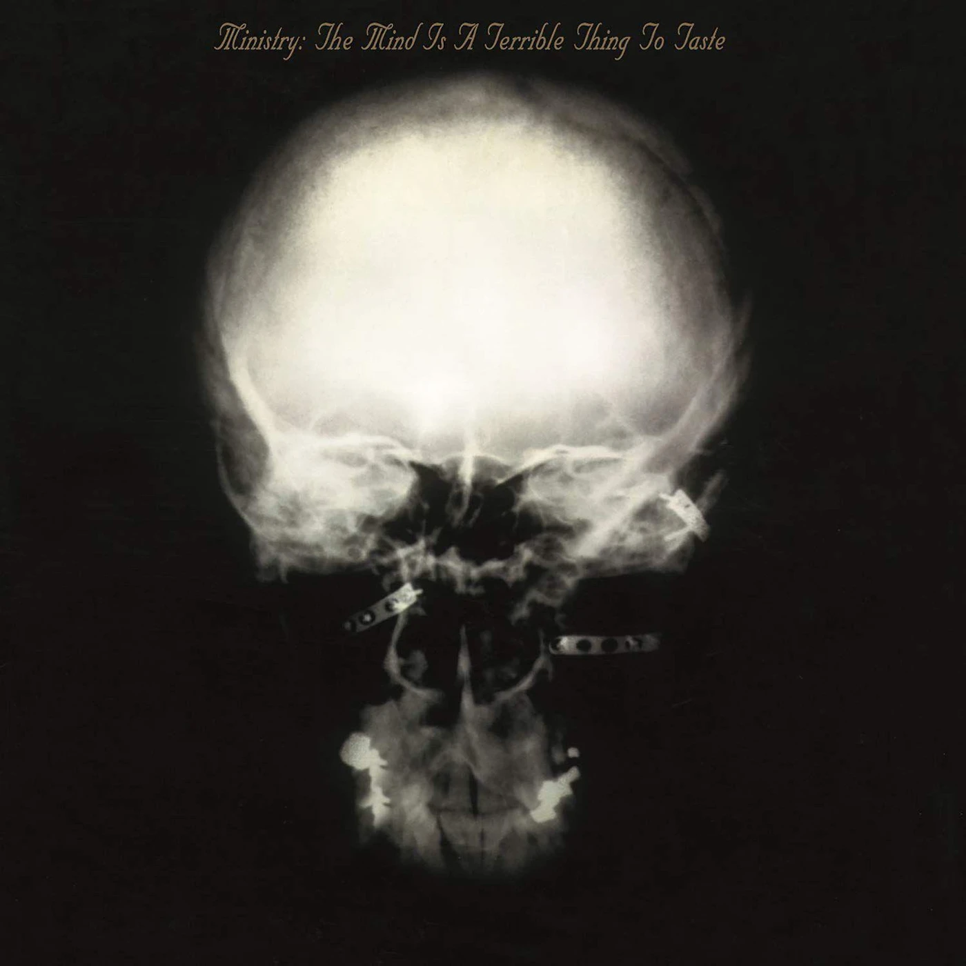 Ministry MIND IS A TERRIBLE THING TO TASTE (180G) Vinyl Record