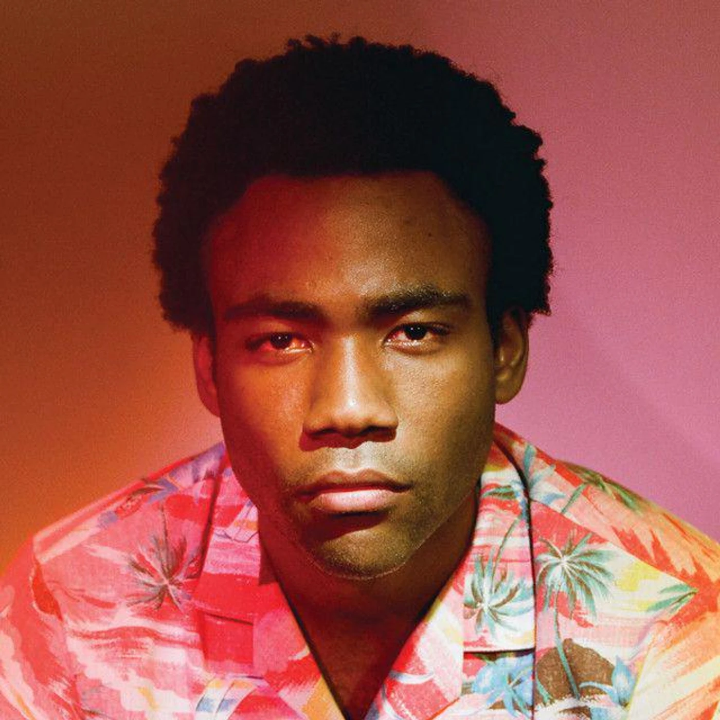 Childish Gambino Because the Internet Vinyl Record