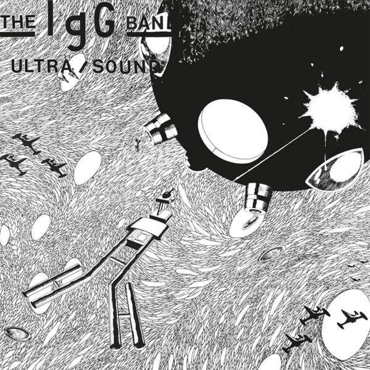 The IgG Band Ultra/Sound vinyl record