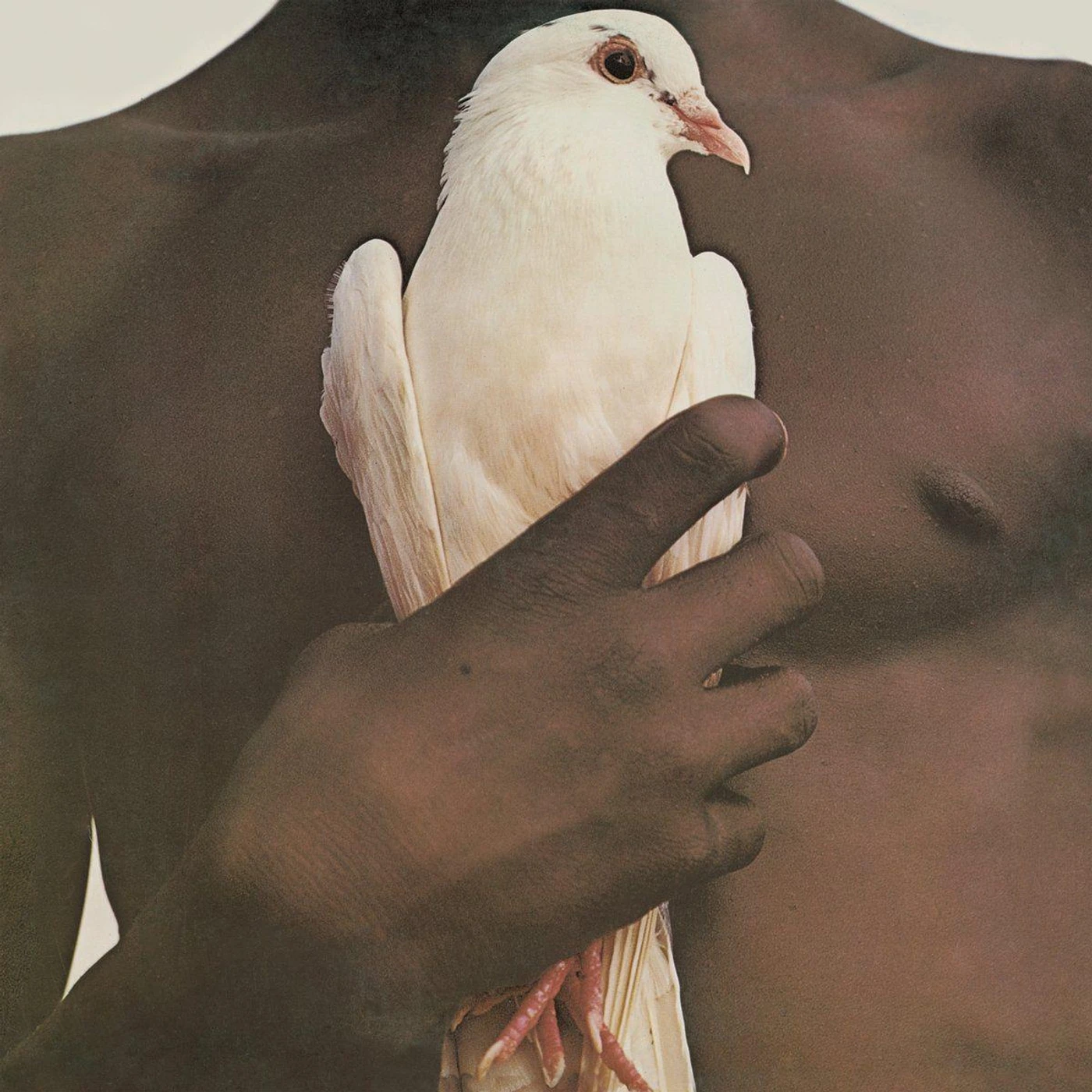 Santana Greatest Hits (1974) (150g/DL Card) Vinyl Record