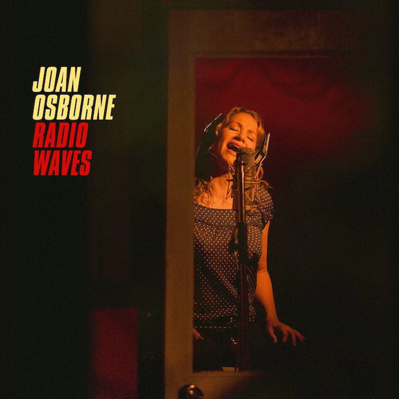 Joan Osborne Radio Waves Vinyl Record