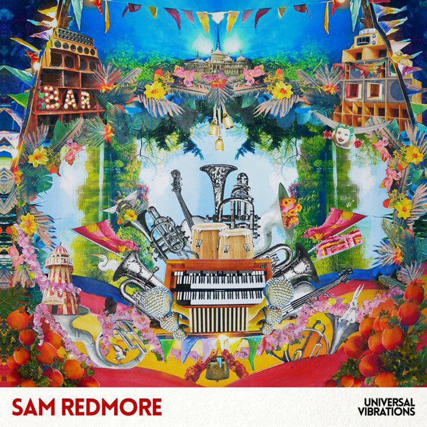 Sam Redmore Universal Vibrations Vinyl Record
