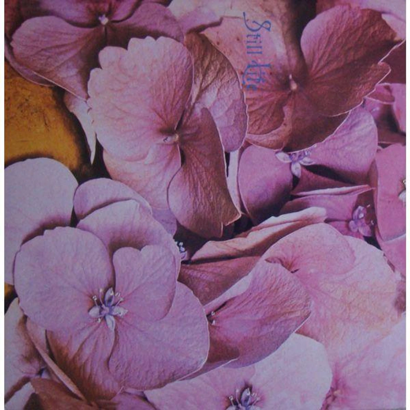 Still Life Vinyl Record
