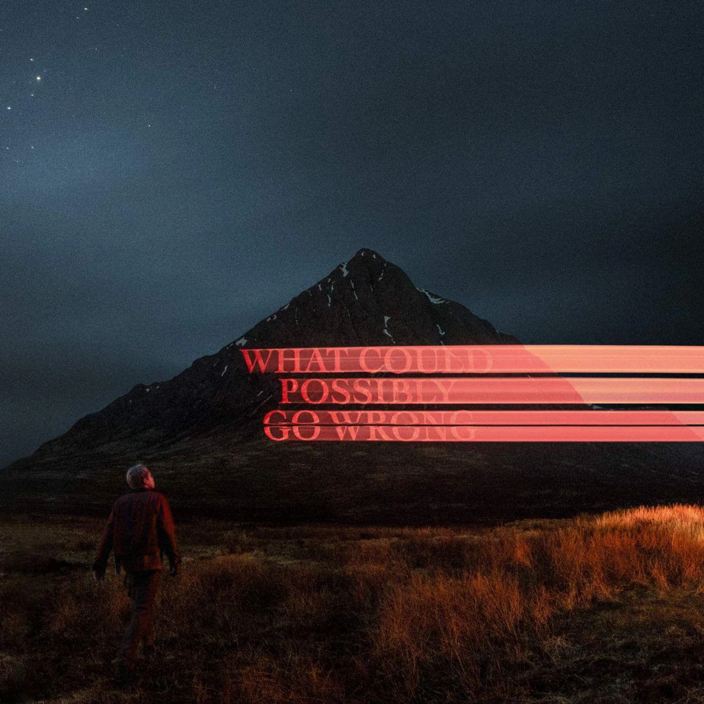 Dominic Fike What Could Possibly Go Wrong Vinyl Record