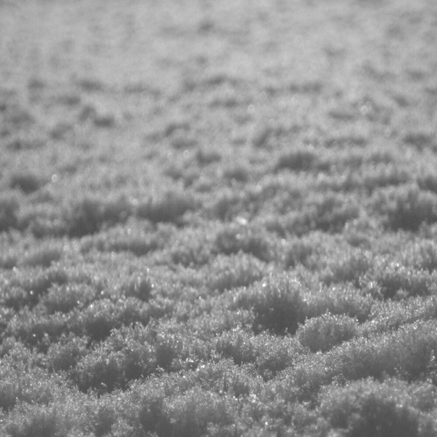 Paysage D'Hiver SCHNEE CD