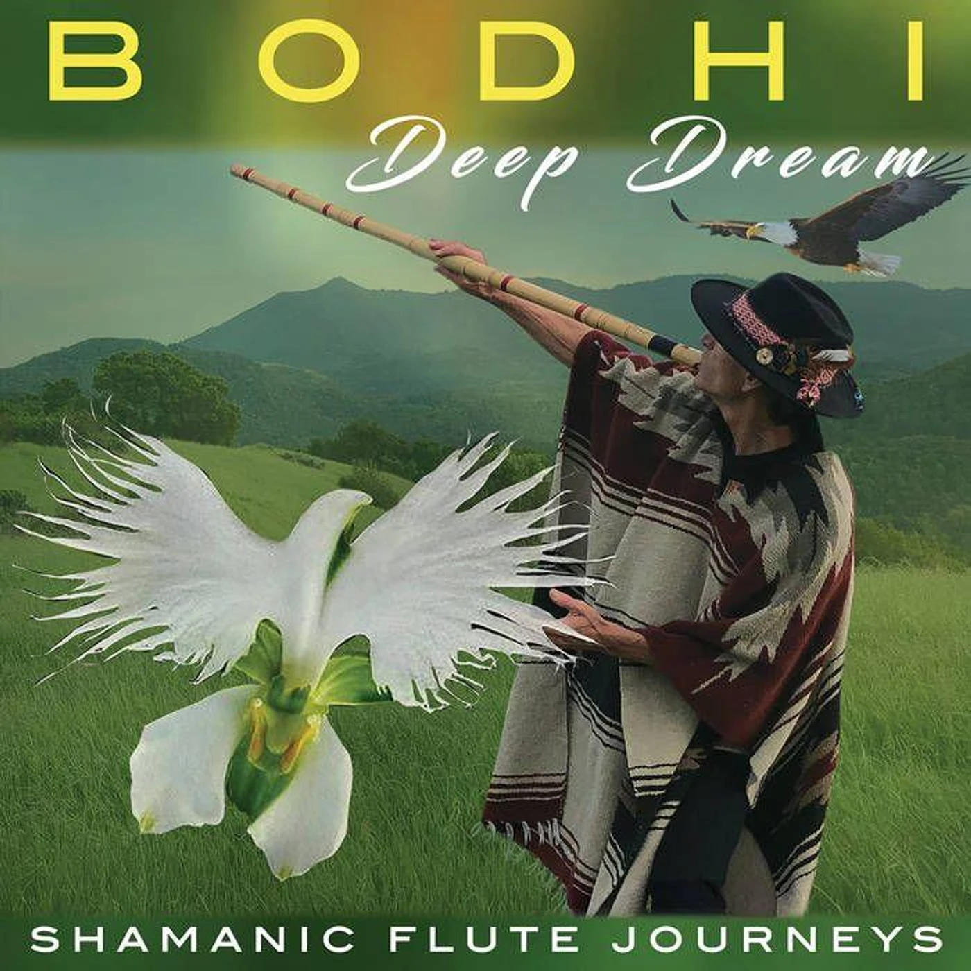 Bodhi DEEP DREAM CD