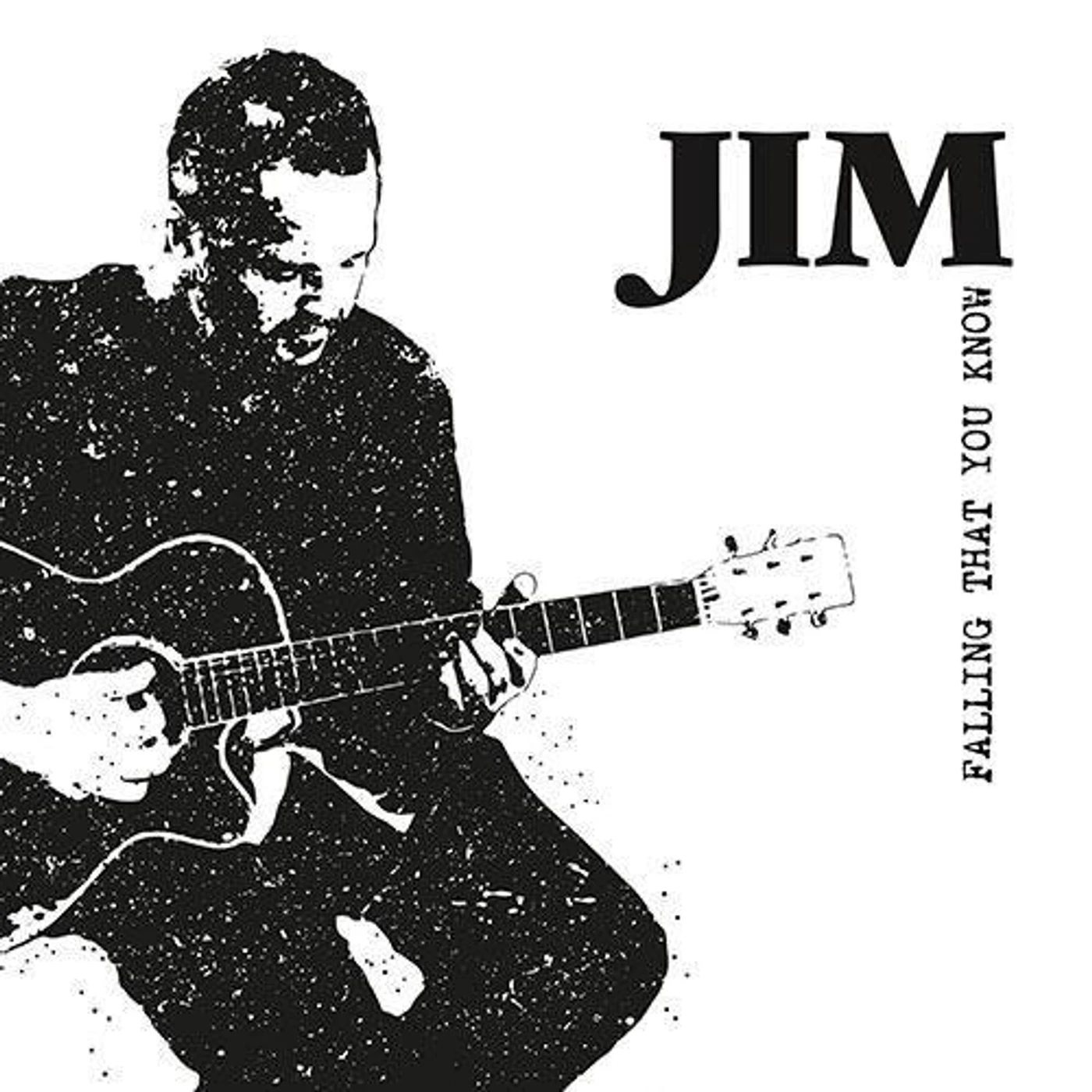 JIM FALLING THAT YOU KNOW Vinyl Record