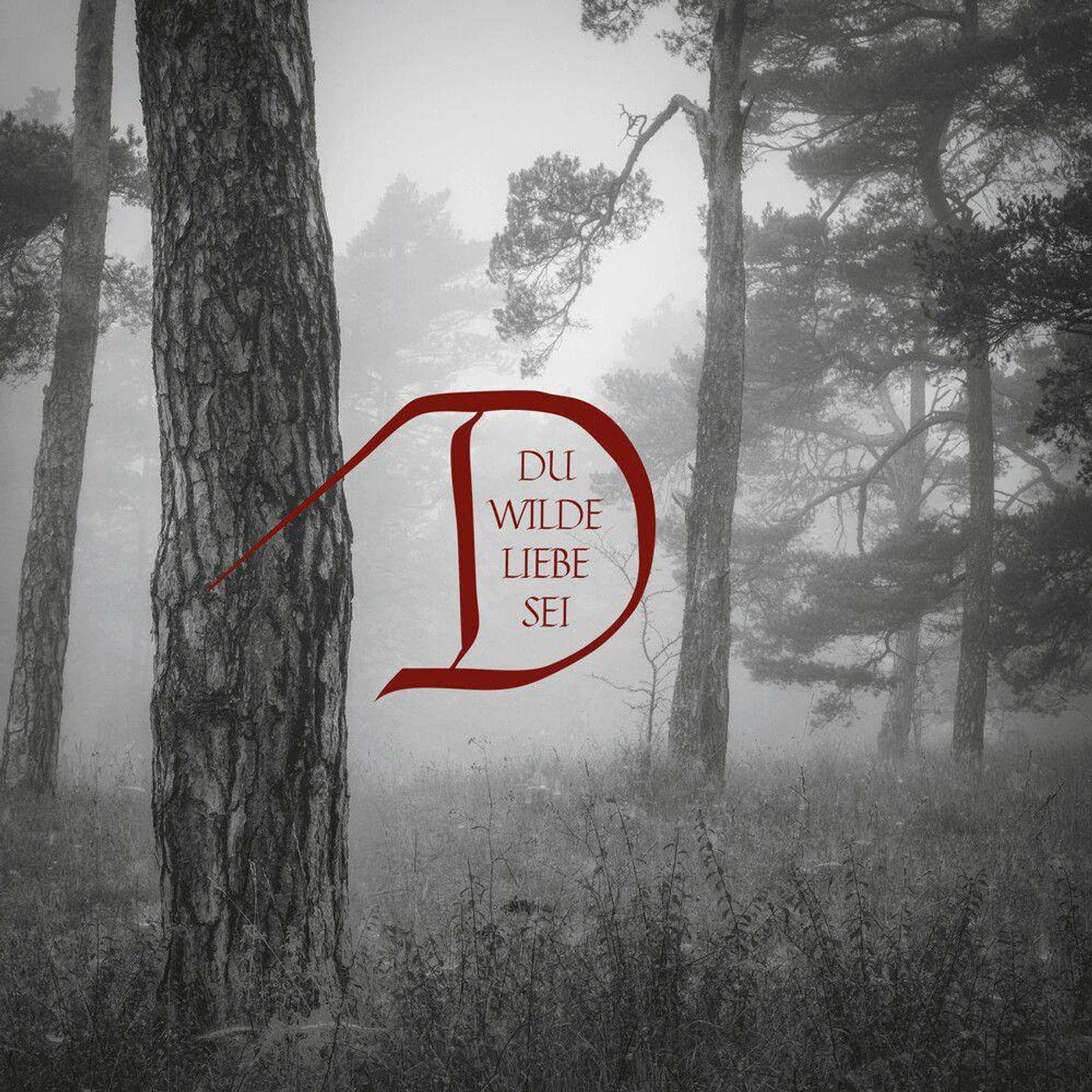Dornenreich DU WILDE LIEBE SEI CD