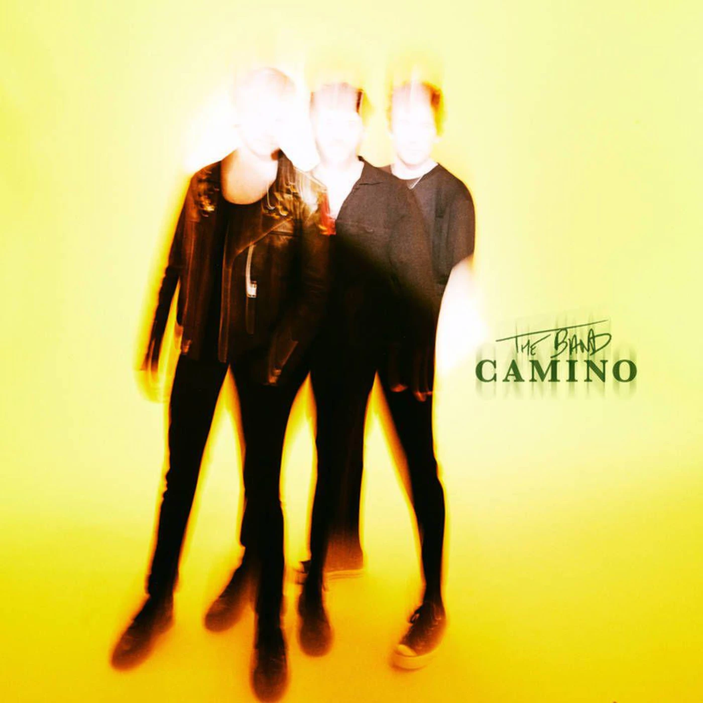 The Band CAMINO Vinyl Record