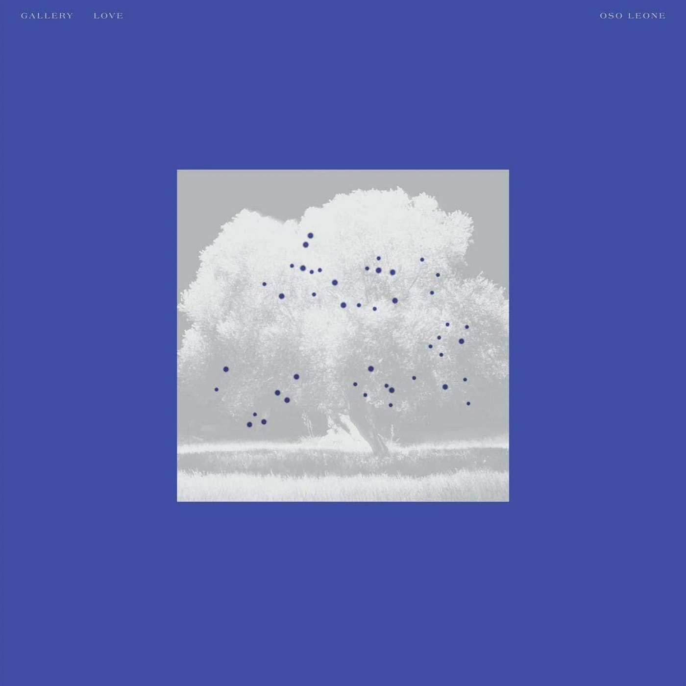 oso leone Gallery Love Vinyl Record