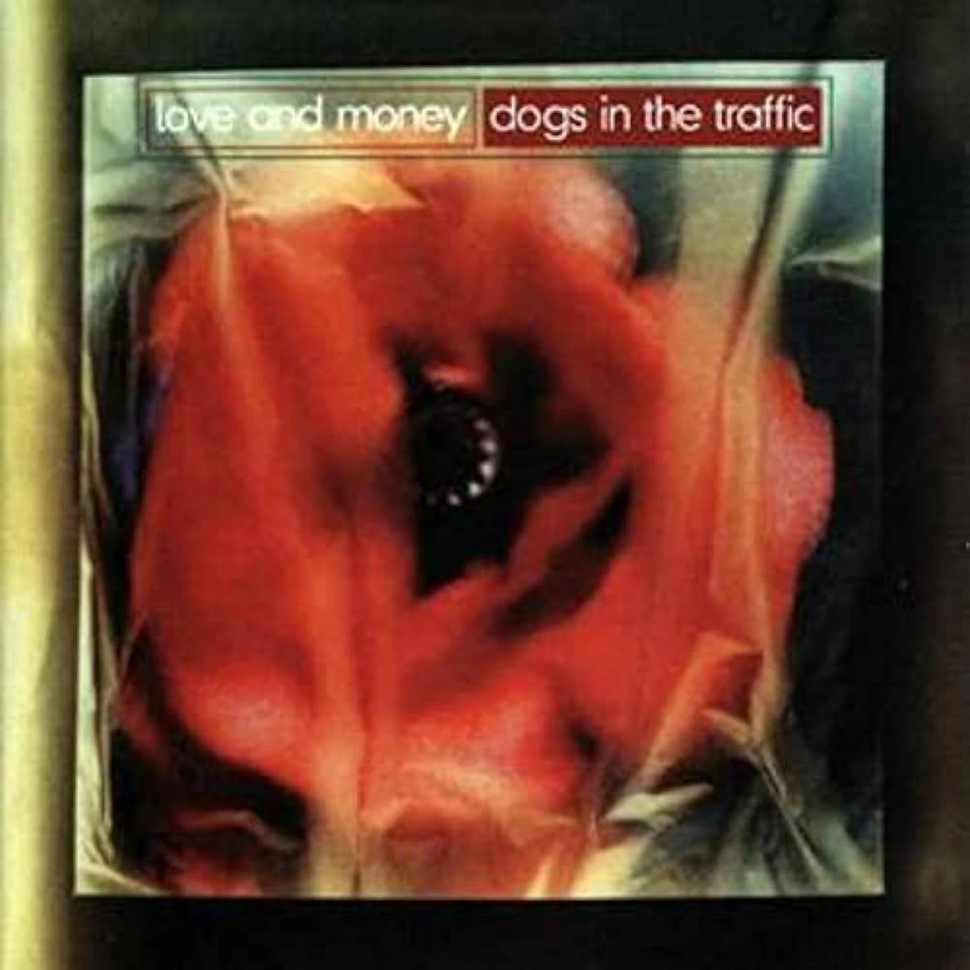 Love & Money  Dogs In The Traffic: 30th Anniversary (Green Colored) Vinyl Record