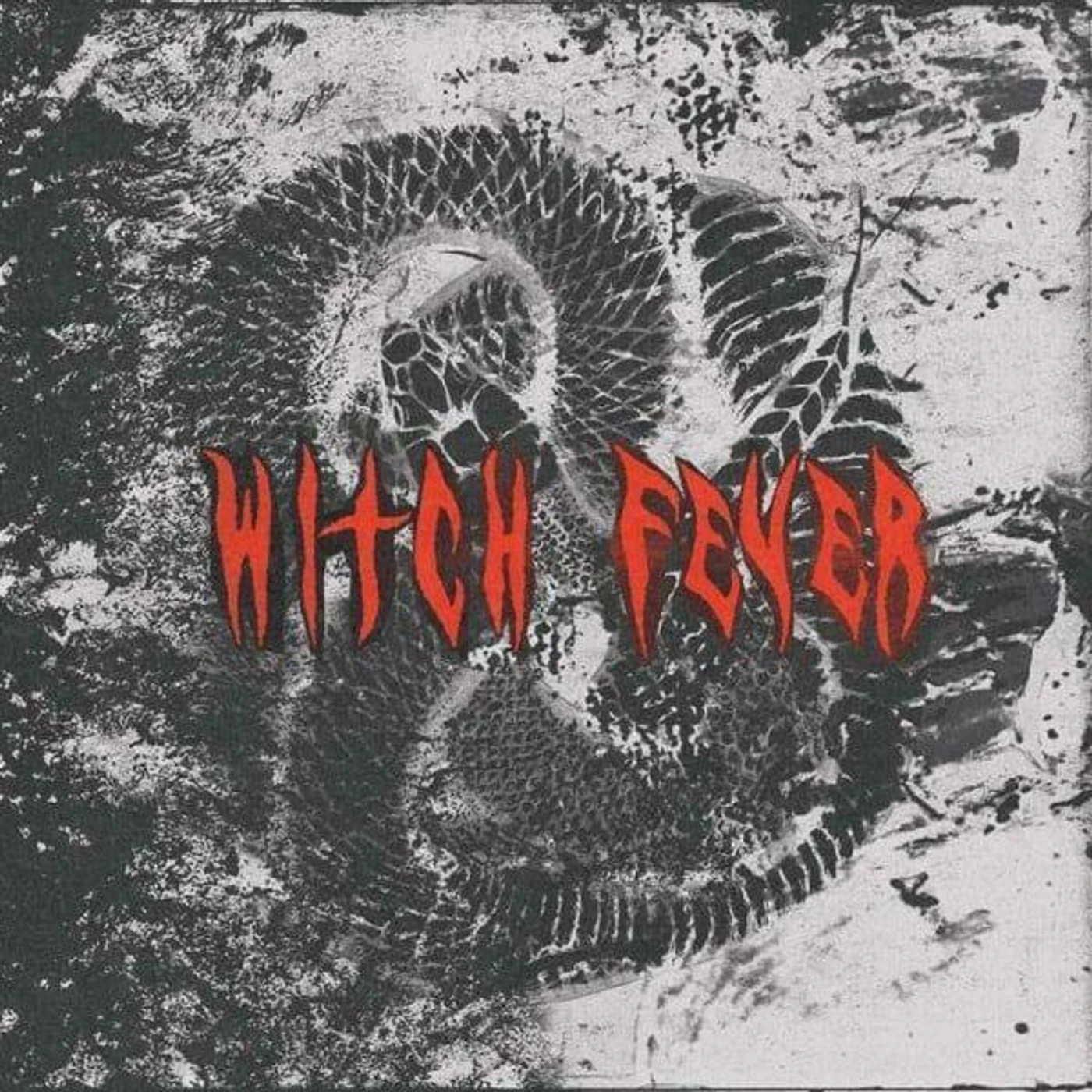 Witch Fever Reincarnate Vinyl Record
