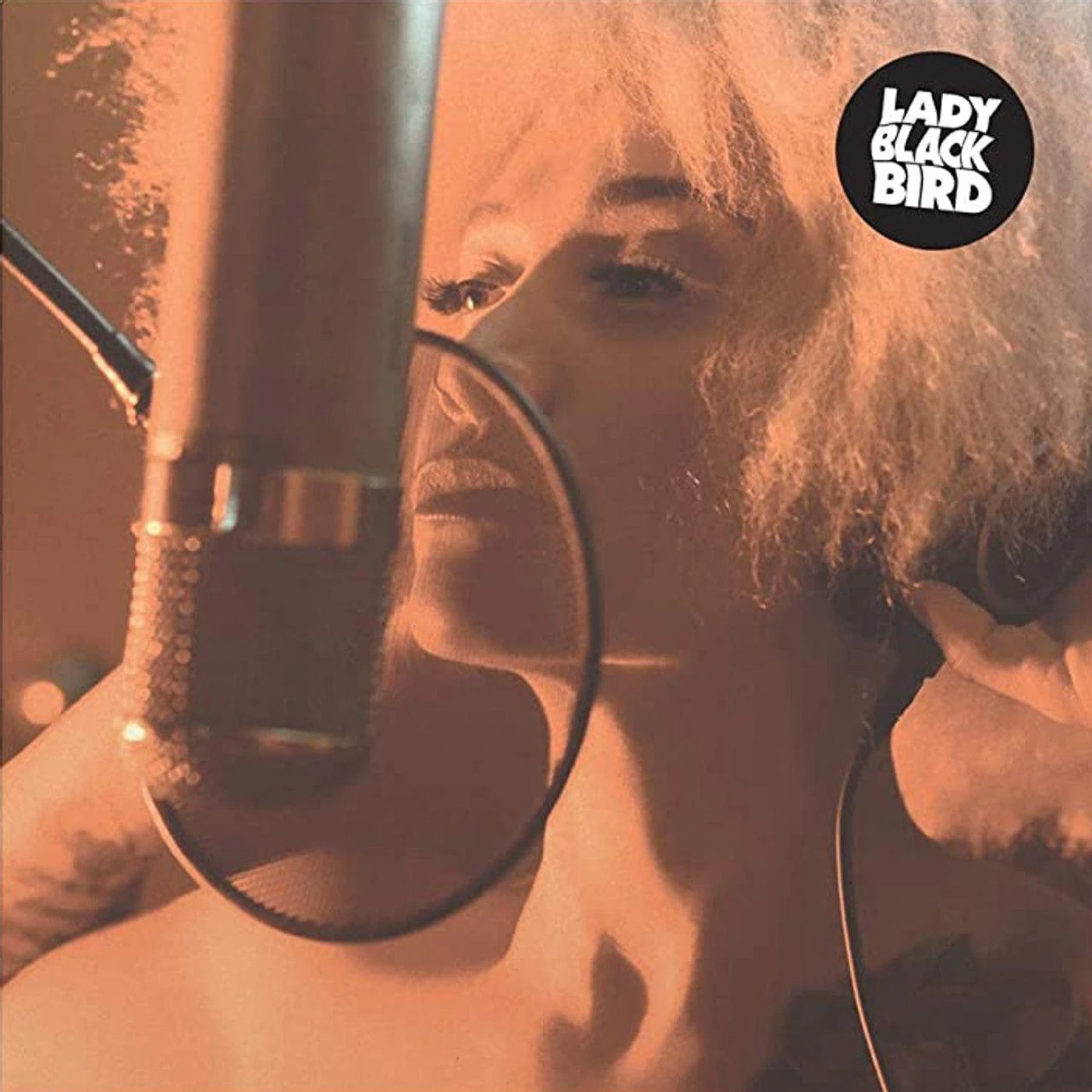 Lady Blackbird Black Acid Soul Vinyl Record