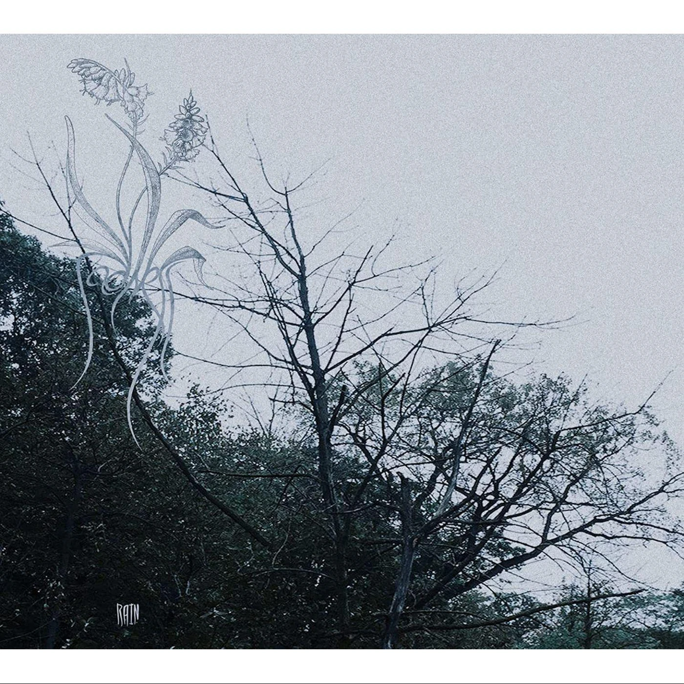 Sadness Rain Vinyl Record