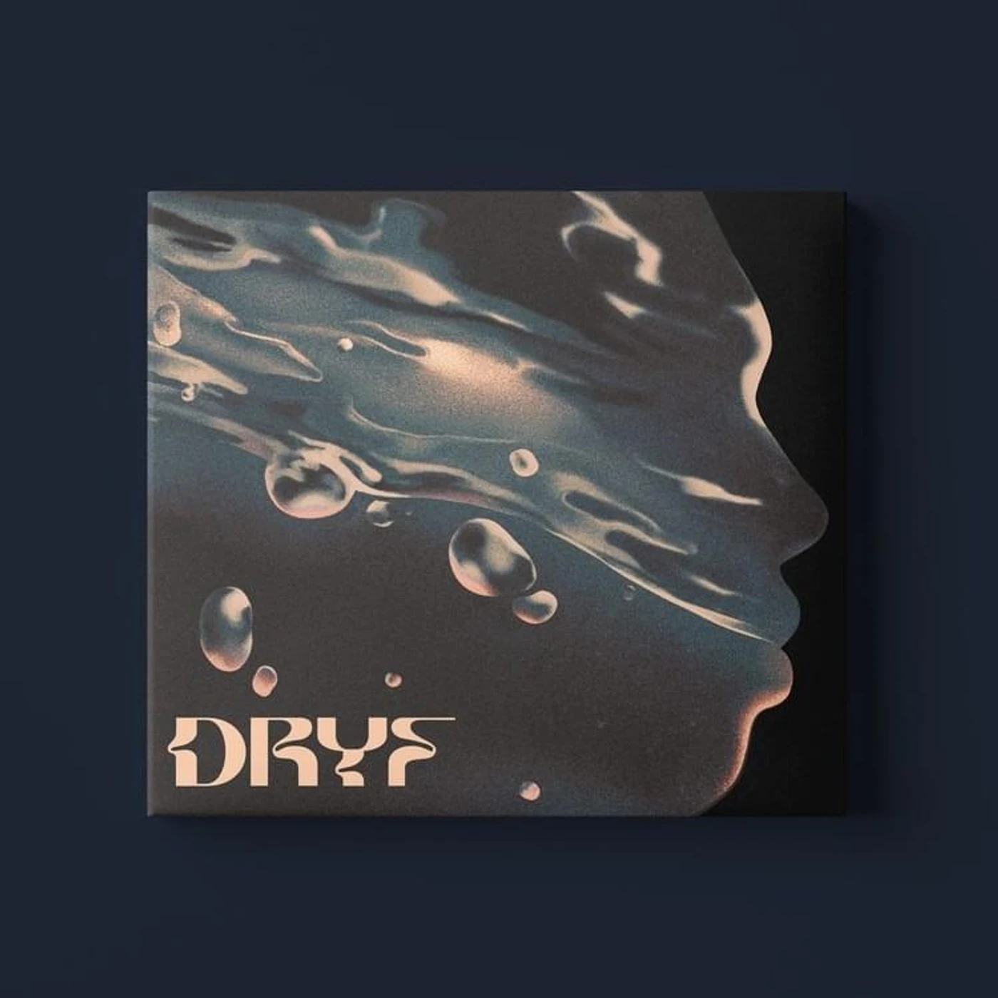 VAE VISTIC DRYF CD