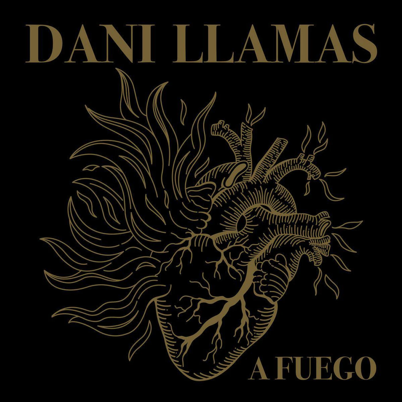 Dani Llamas A Fuego vinyl record