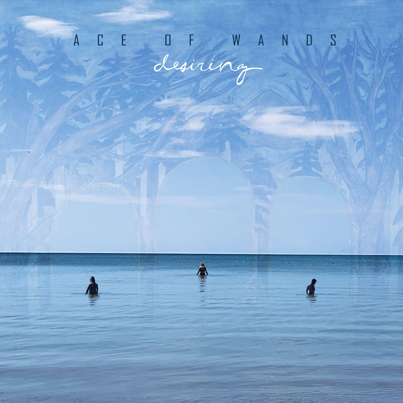 Ace of Wands DESIRING Vinyl Record