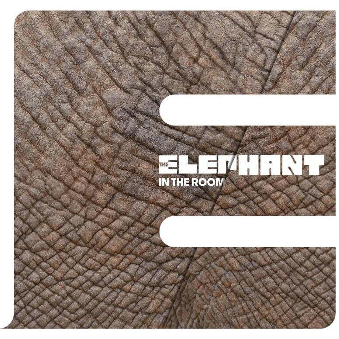 Elephant In The Room Vinyl Record