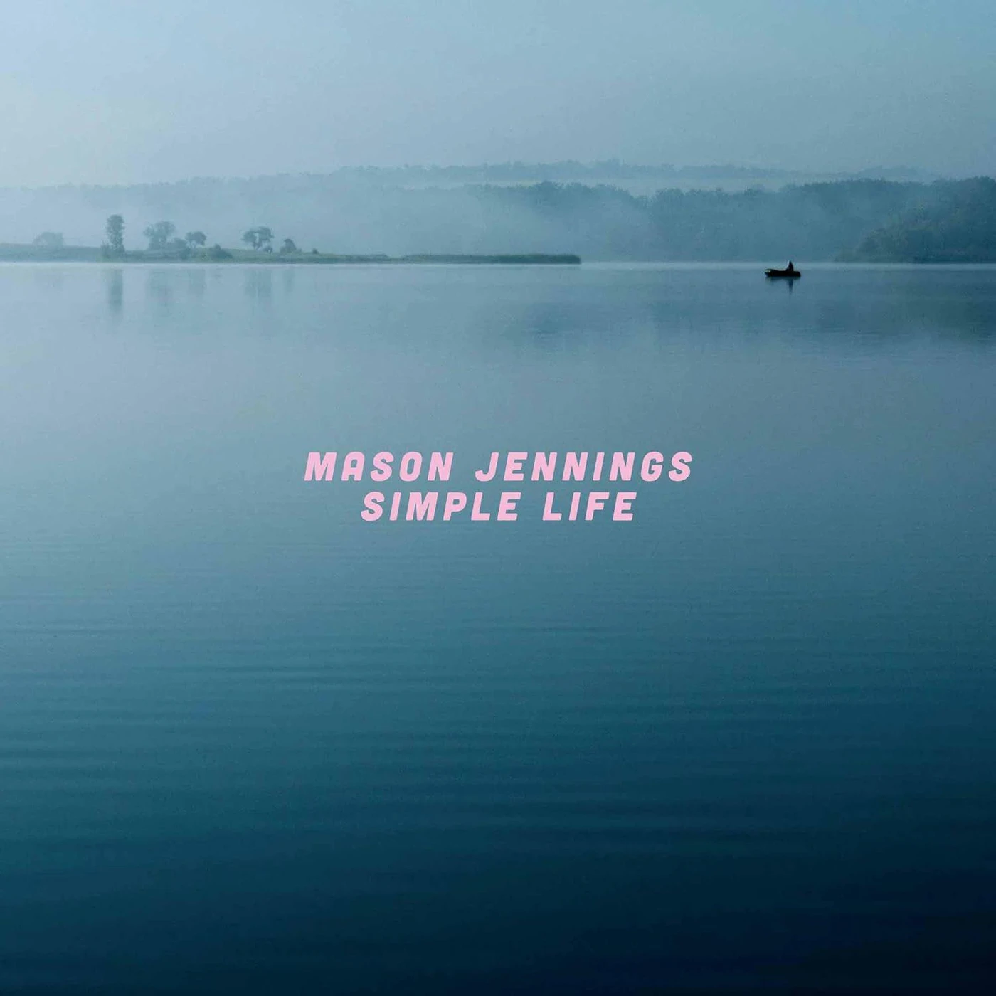 Mason Jennings Simple Life Vinyl Record