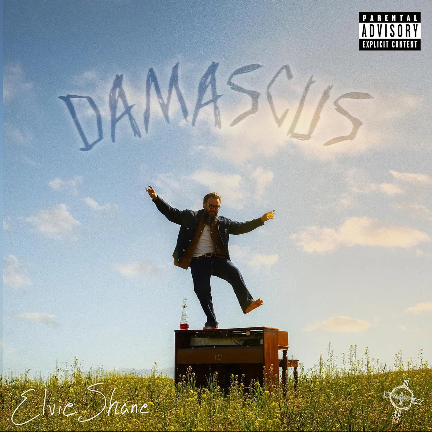 Elvie Shane Damascus Vinyl Record
