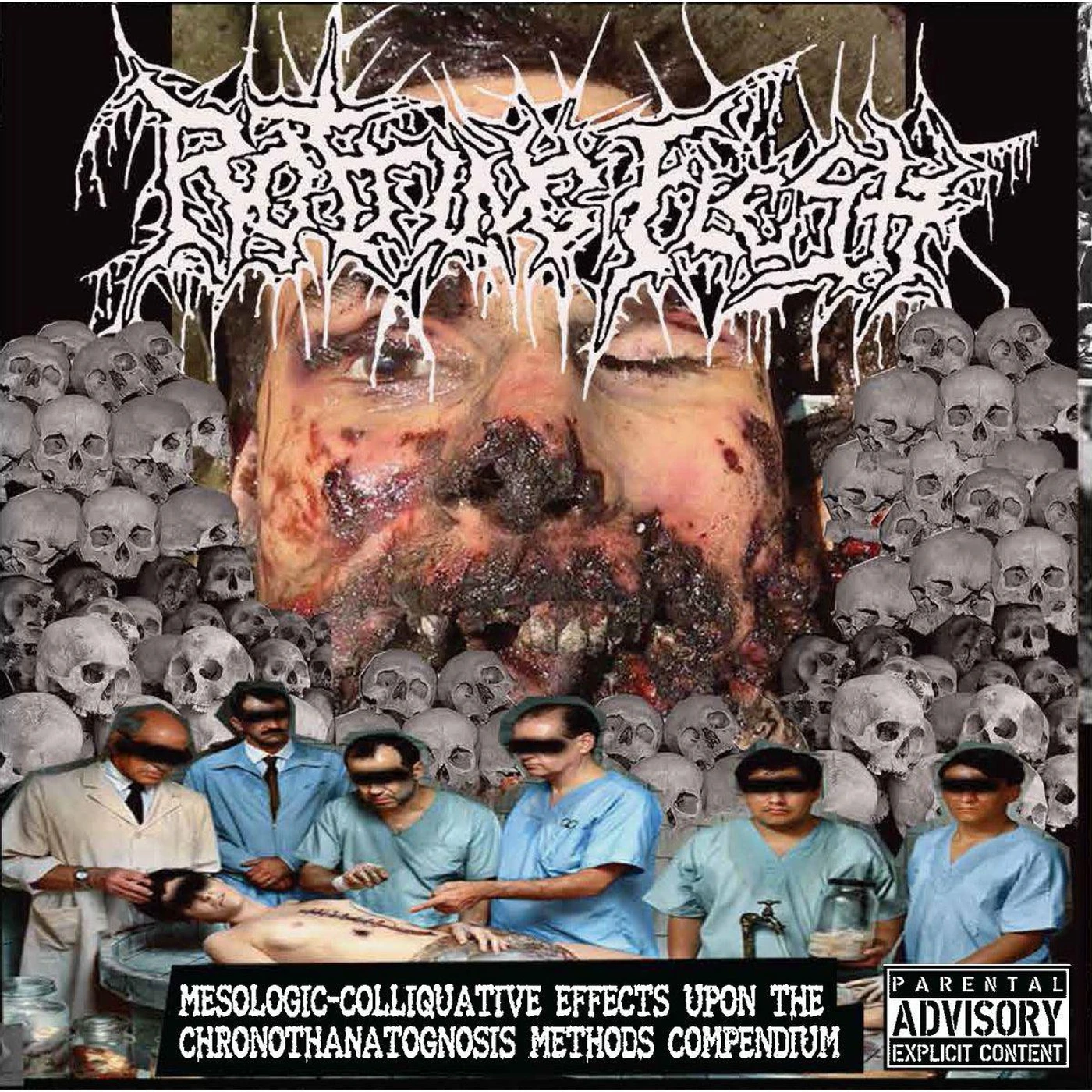 Rotting Flesh Mesologic Colliquative Effects Upon Vinyl Record
