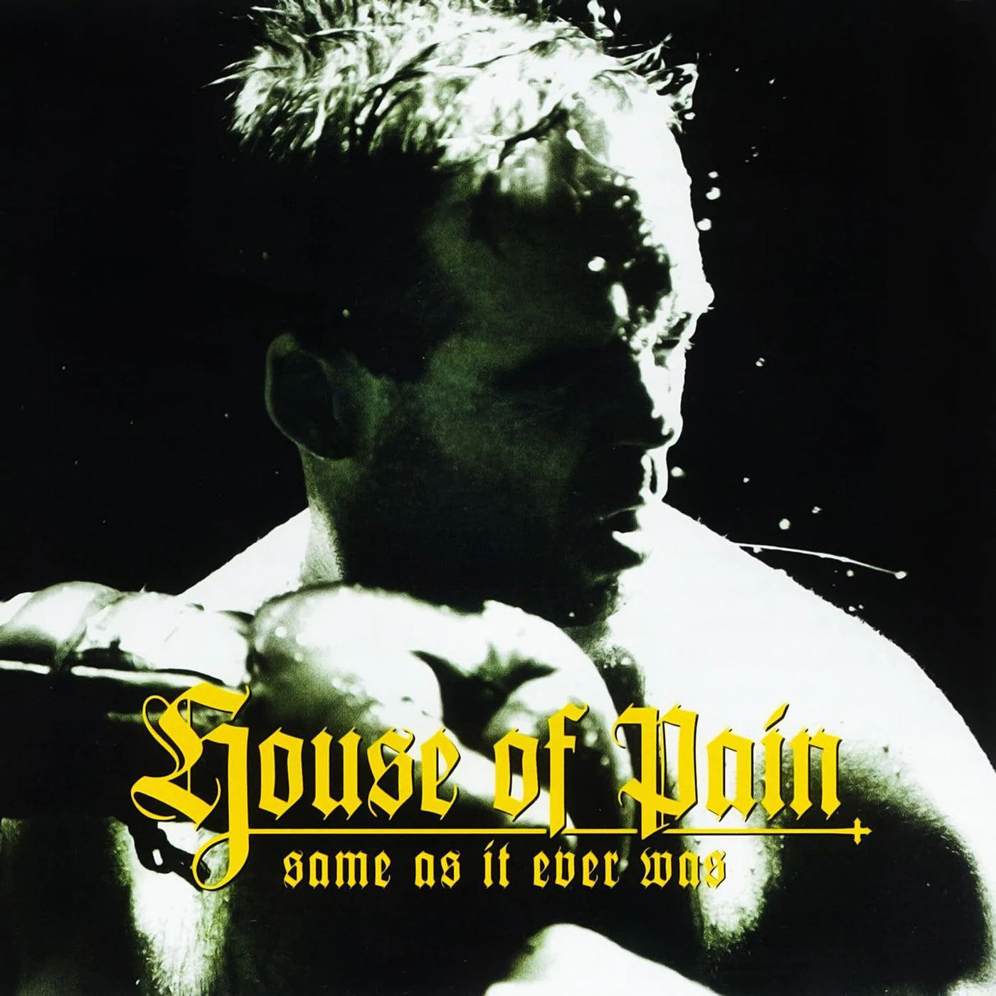 House Of Pain Same As It Ever Was (30Th Anniversary) Vinyl Record - Bonus Vinyl
