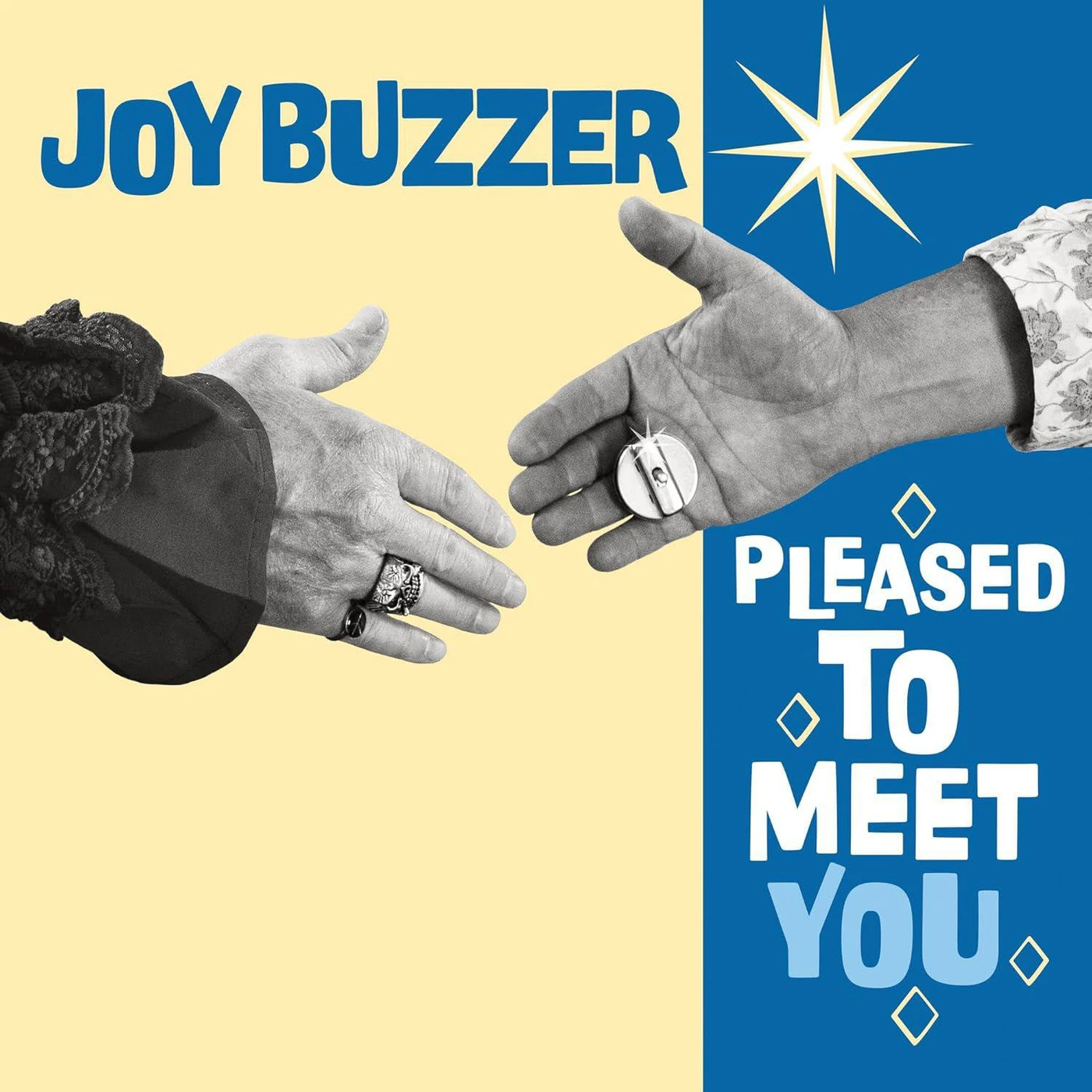 Joy Buzzer Pleased To Meet You Vinyl Record