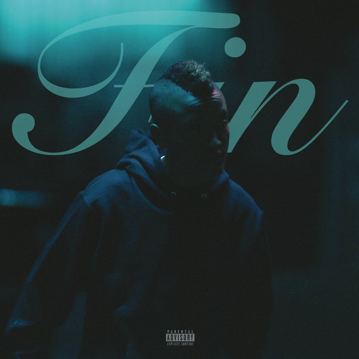 Syd Fin (Green, Blue) Vinyl Record 