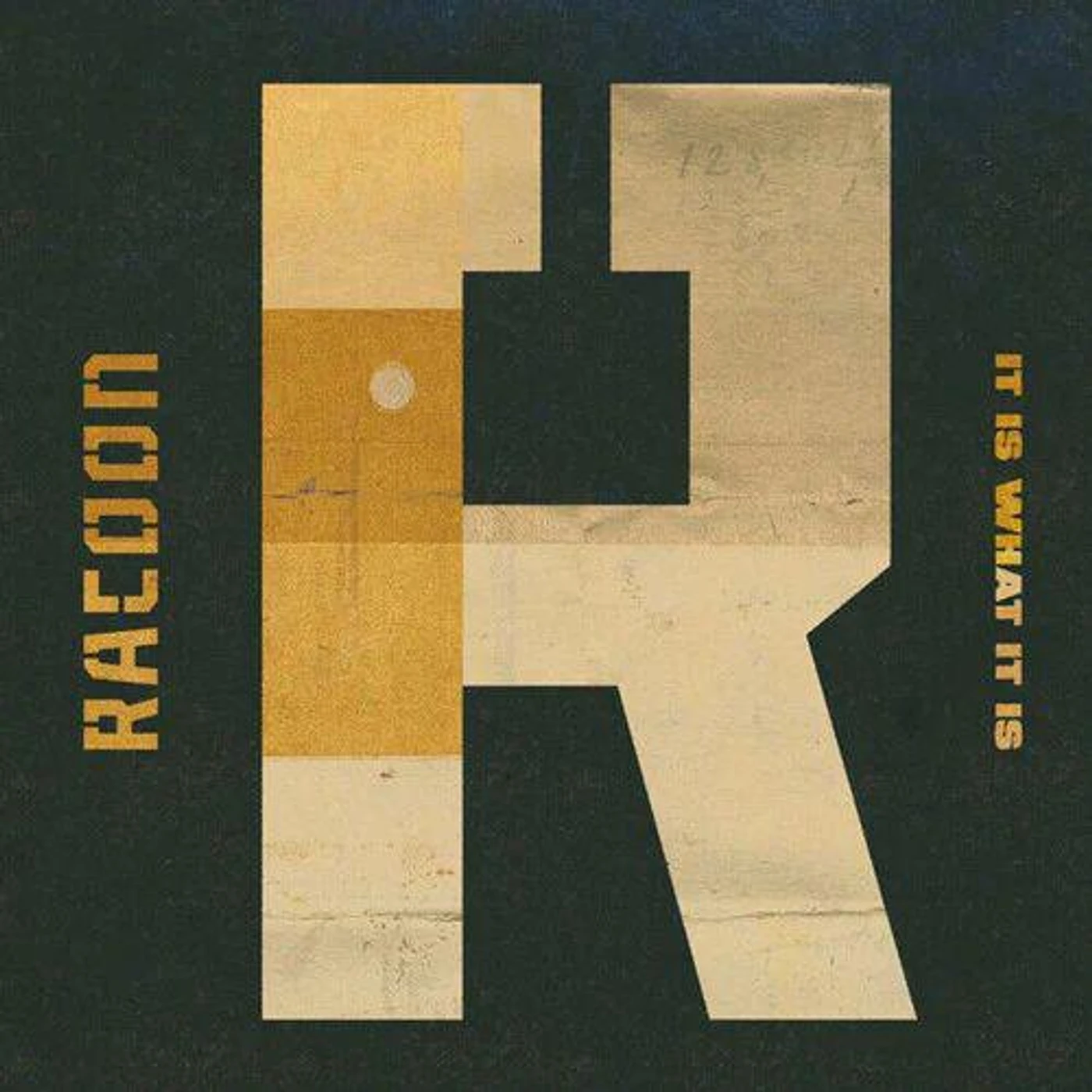 Racoon It Is What It Is Vinyl Record